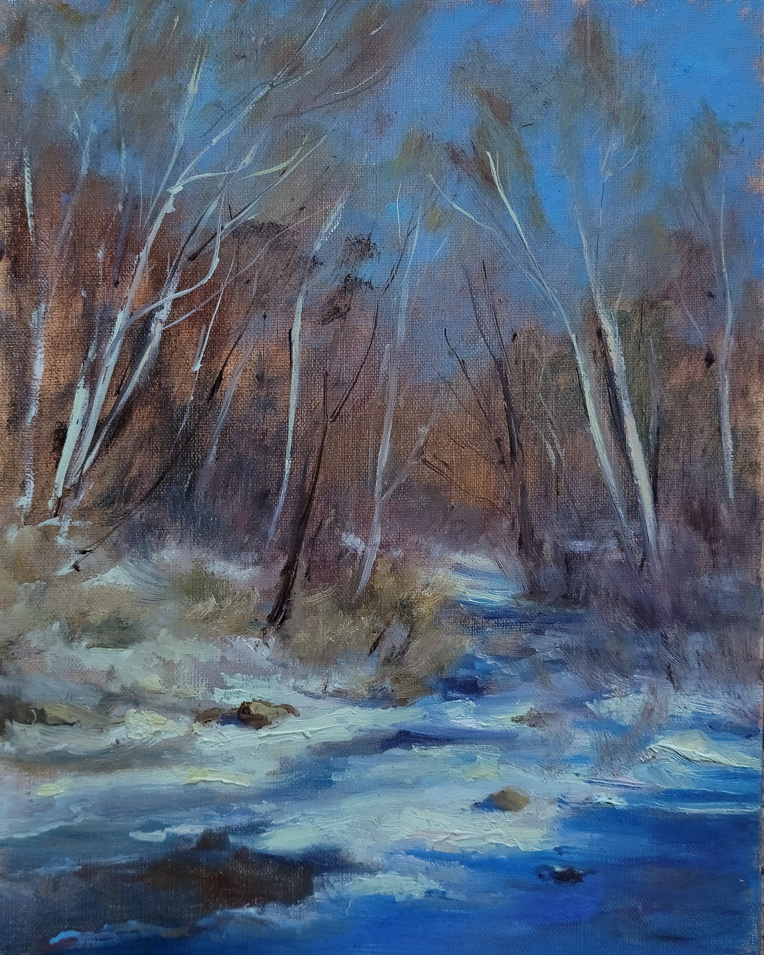 Maria Nemchuk - Winter Creek.jpg