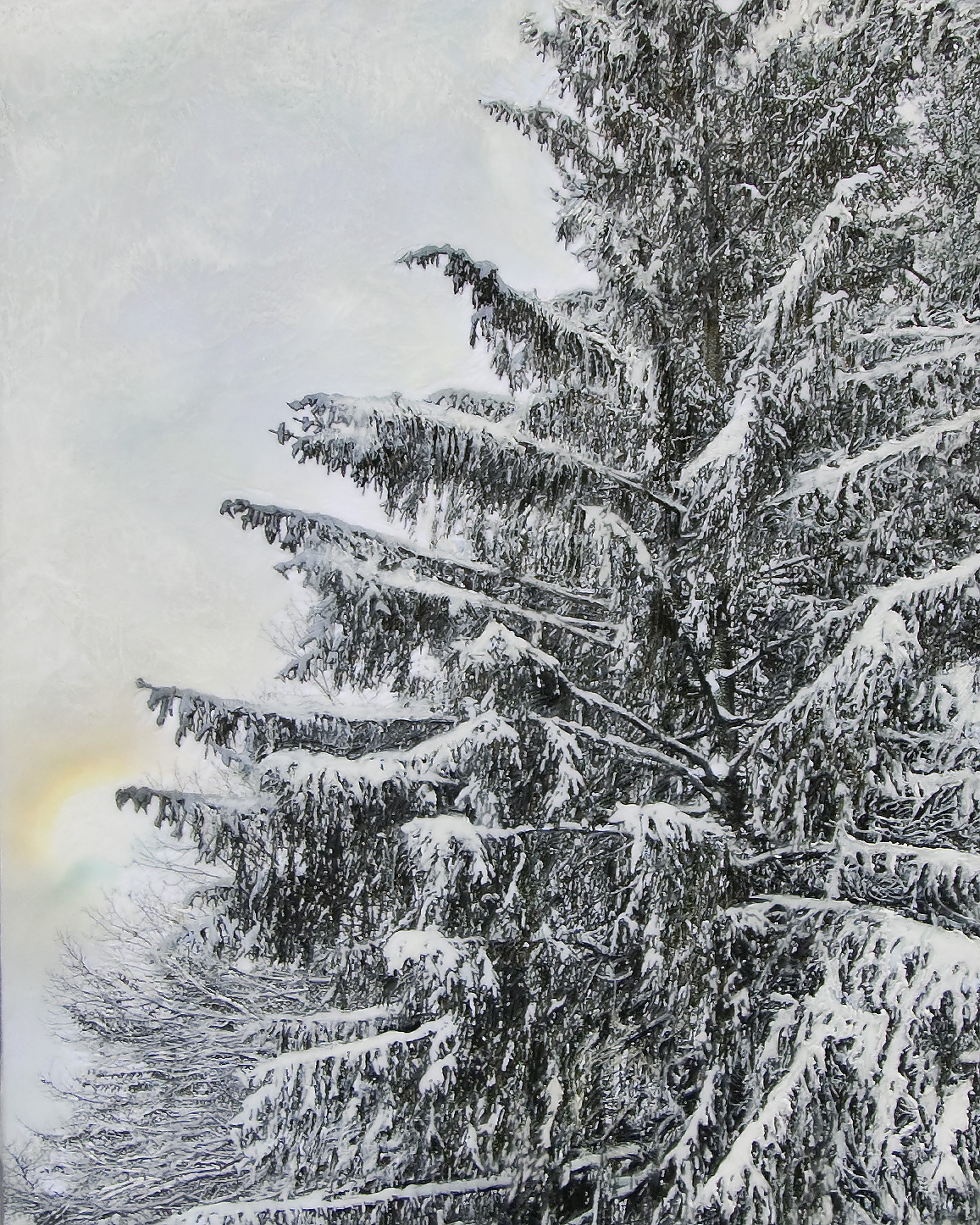 Deb Desmond Meserve - Hemlock in Snow.jpg