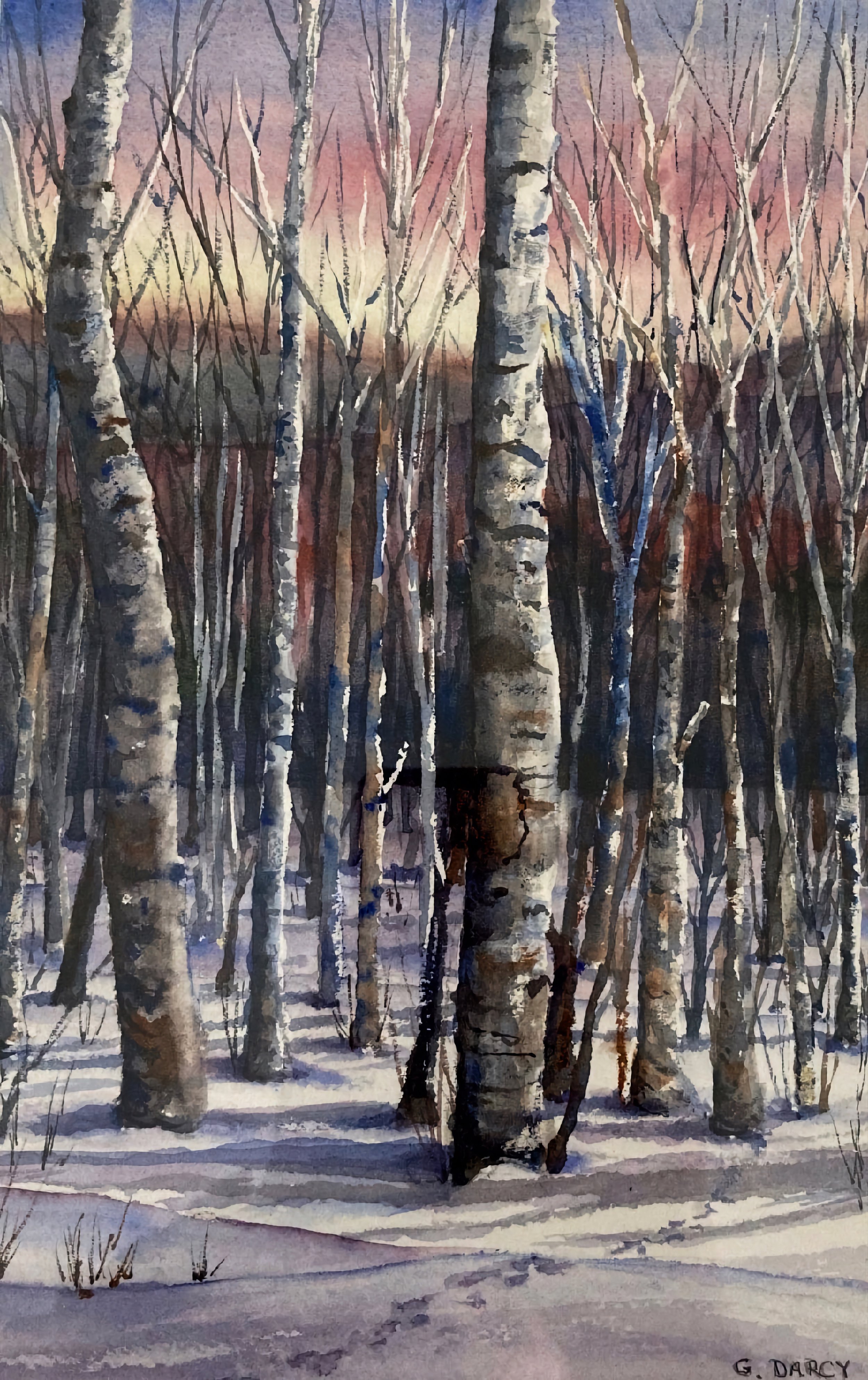 George Darcy - Winter Woods.JPG