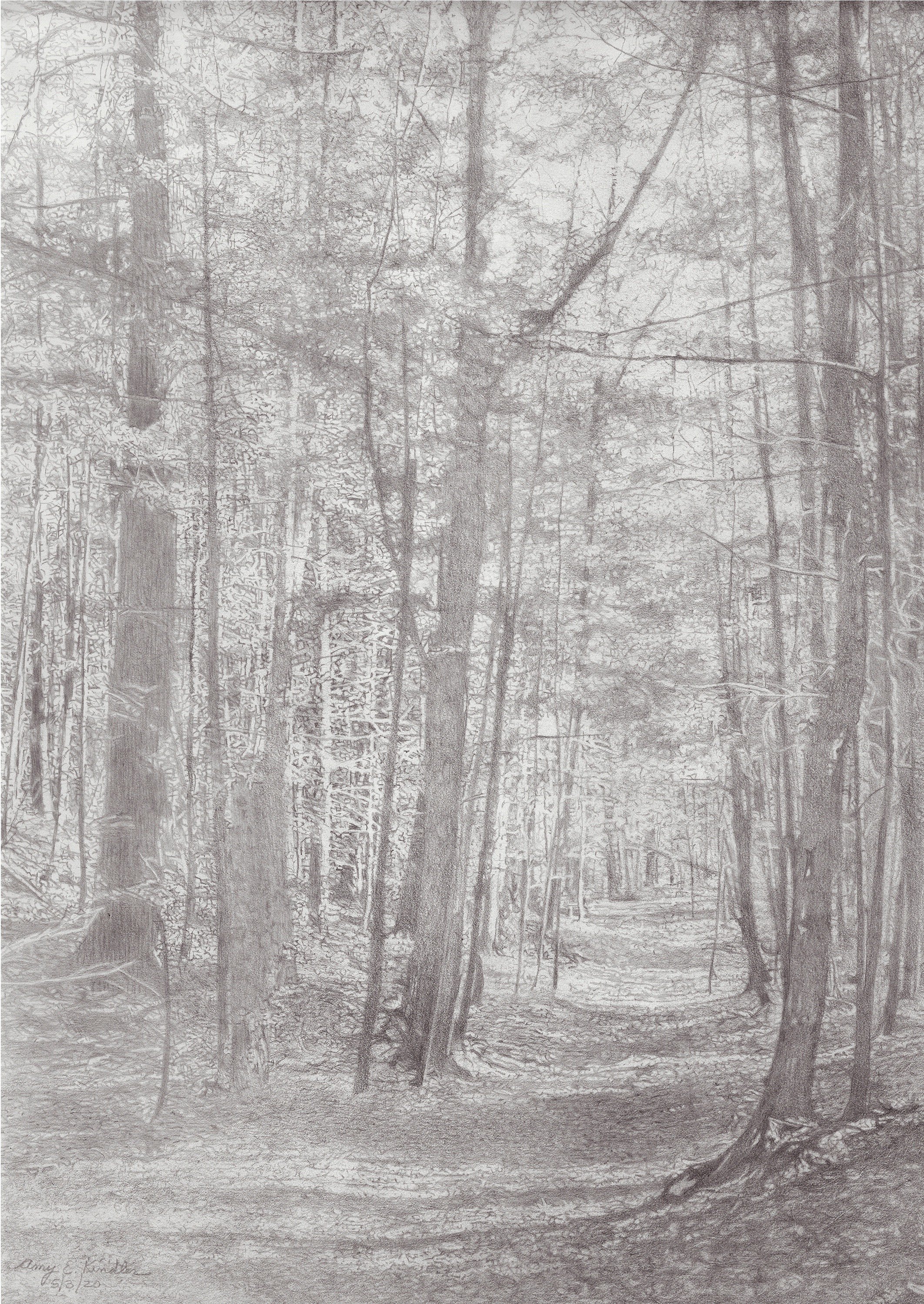Amy Kindler - UNH College Woods.jpg