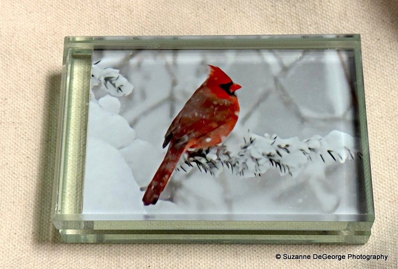 SuzaneDeGeorge - Mr. Red in the Snow - Item 3.jpg