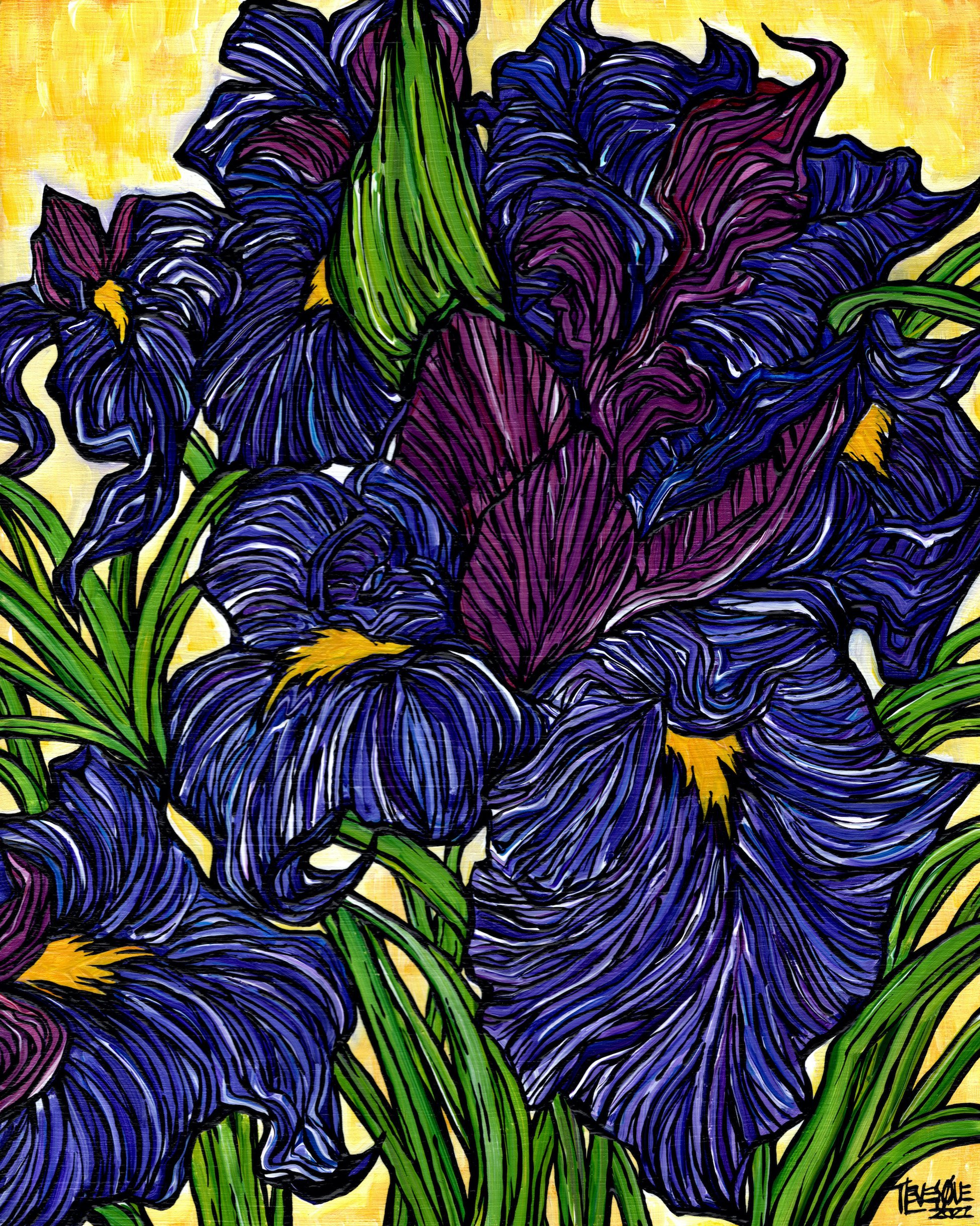 Tracy Levesque - Lines of the Iris.jpg