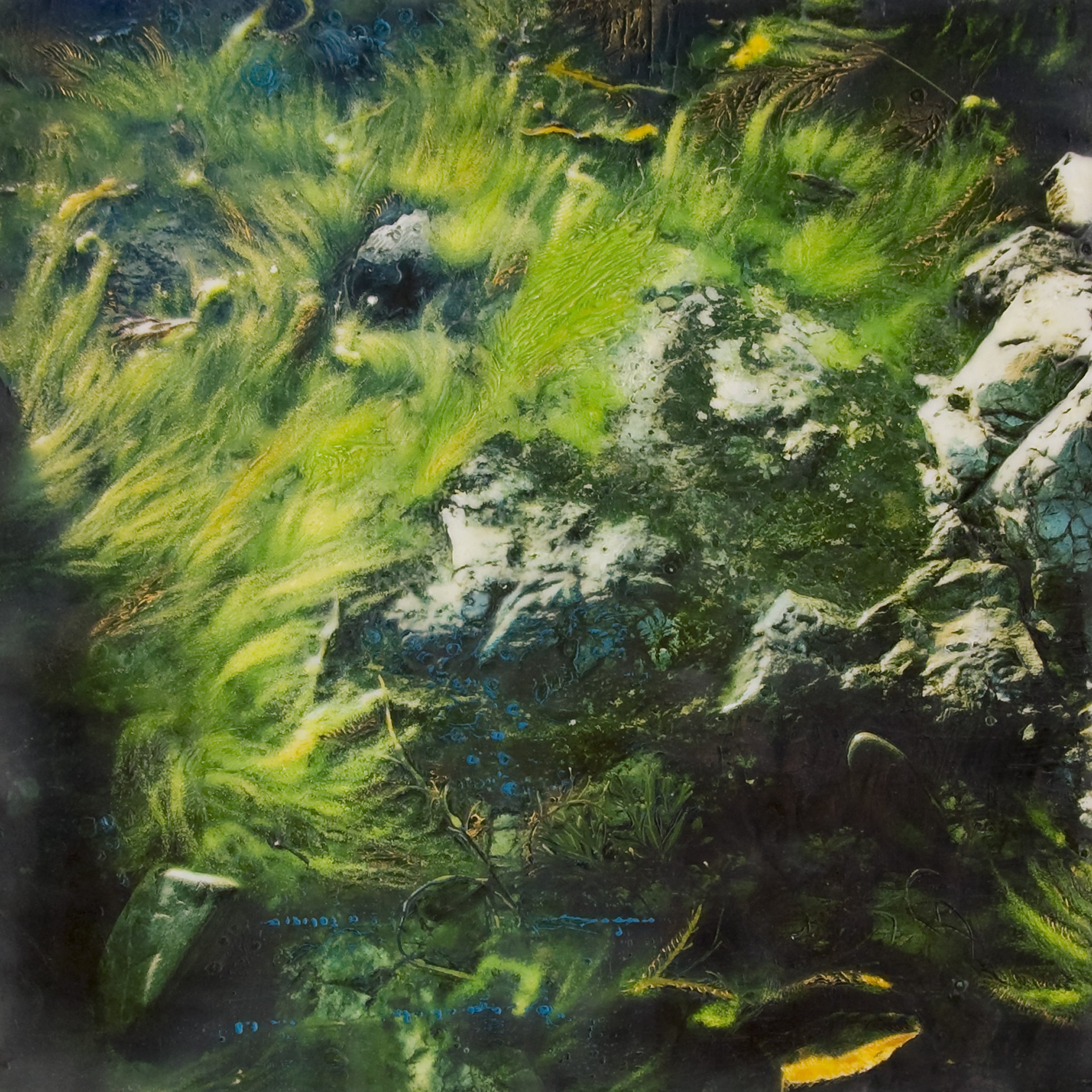 Deb Desmond Meserve - Sea Lion.jpg