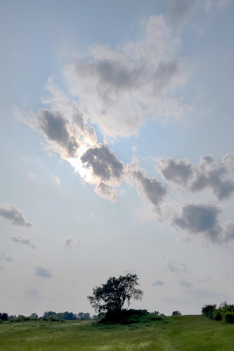 Law Hamilton - Clouds June 6th, Ipswich Tree Series.jpg