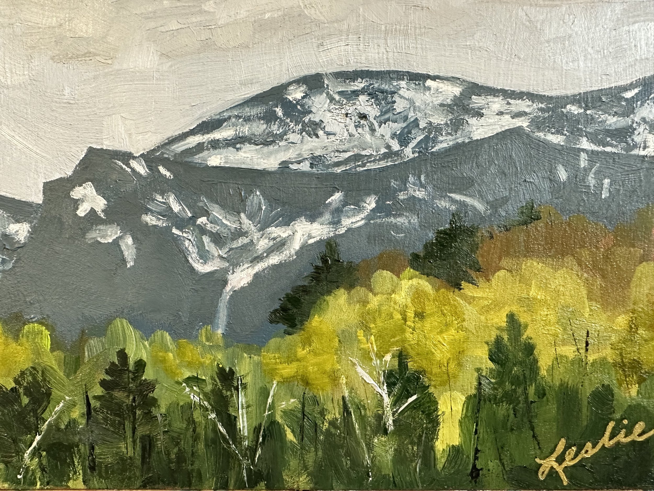 Leslie Scott-Lysan - Mount Washington View from Wildcat Mountain.jpg