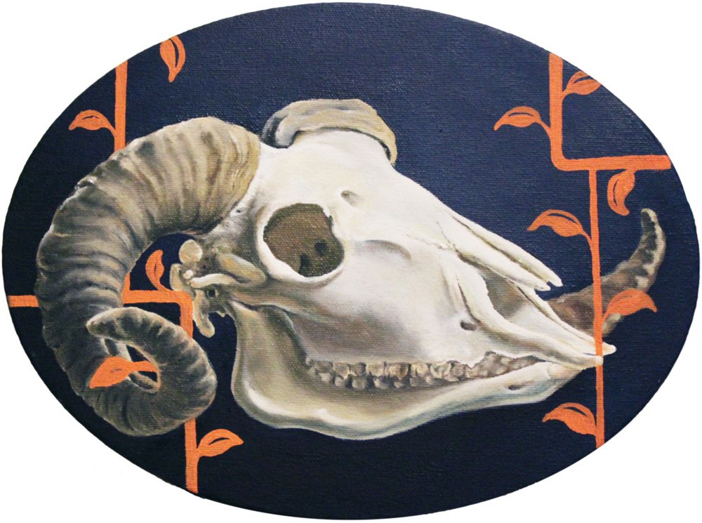 Sophy Tuttle - Ram Skull.jpg