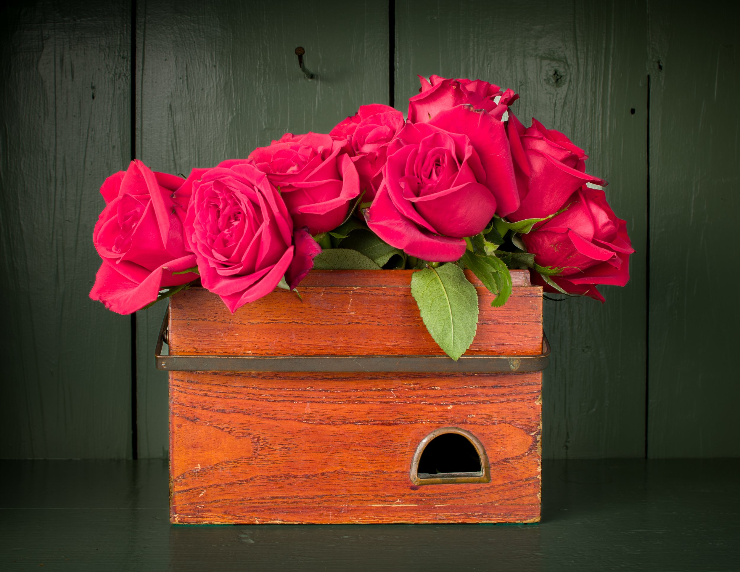 Chris Needham - Kitchen Roses.jpg
