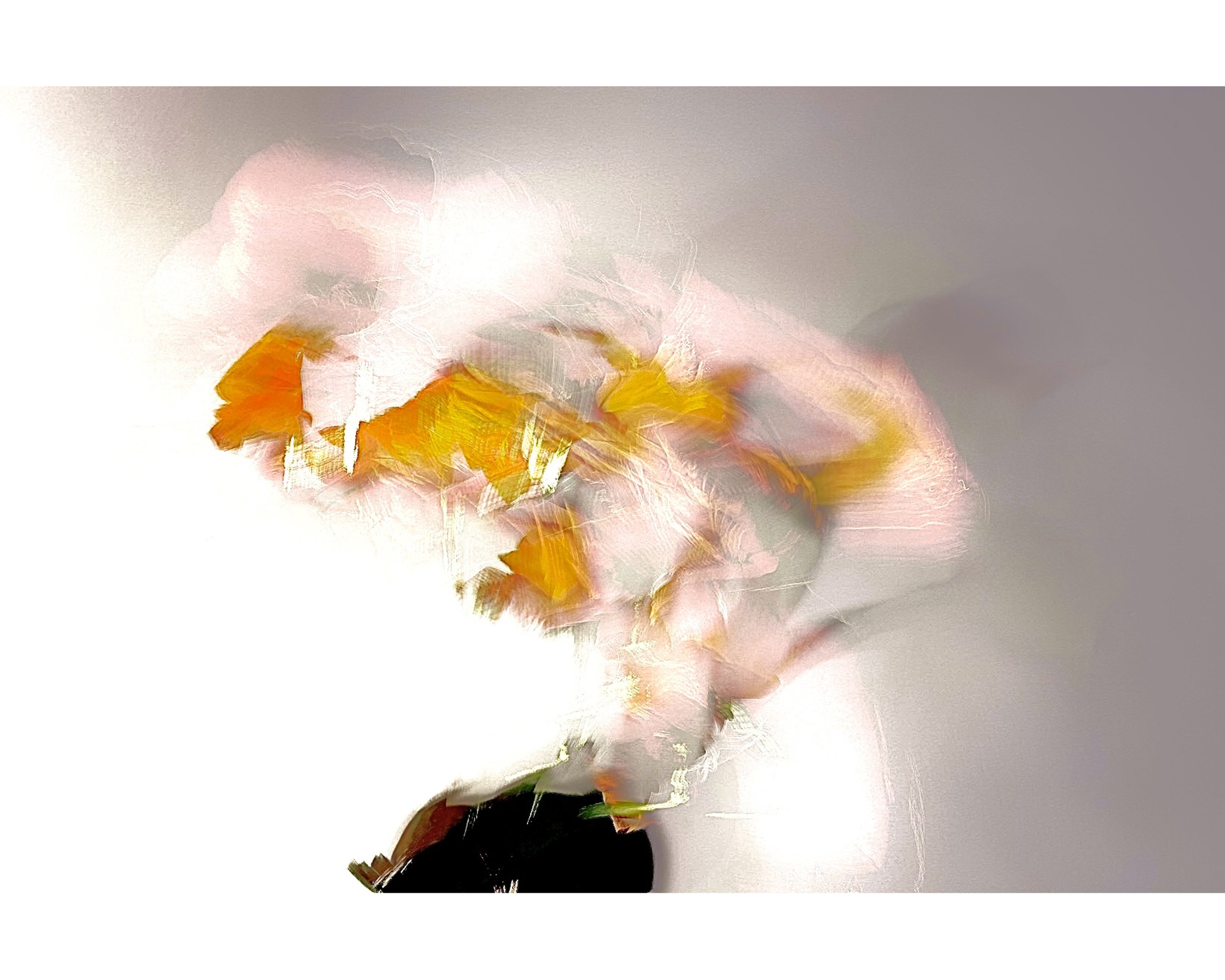 Gordon Przybyla - Dried Flowers 1.jpg