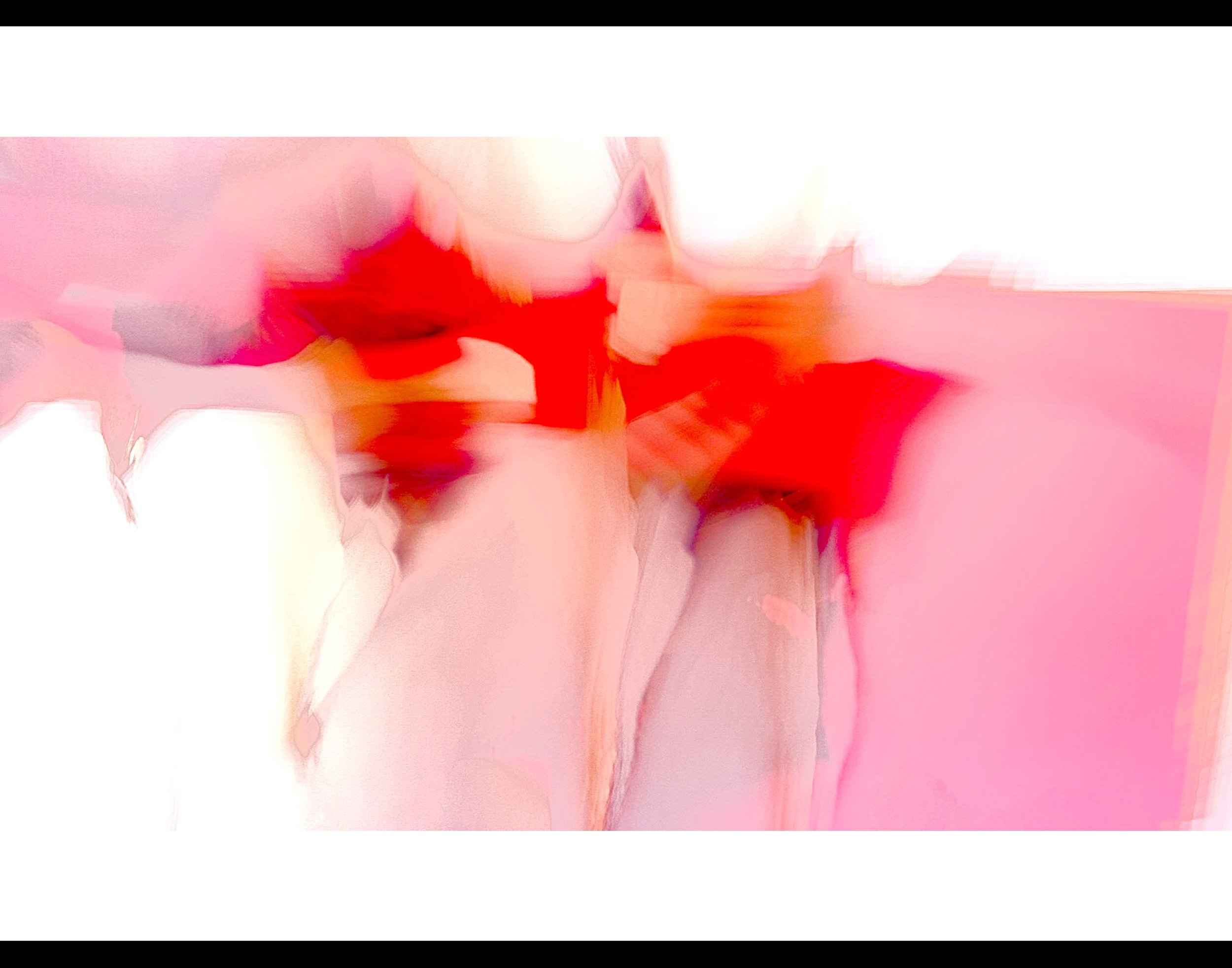 Gordon Przybyla - Dried Flowers 2.jpg