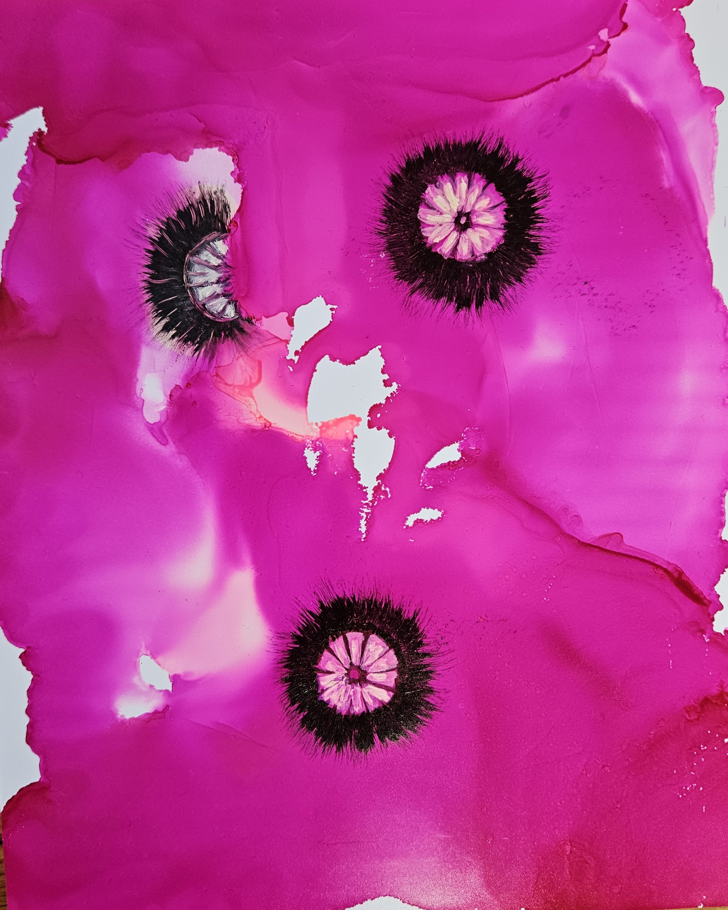 Heidi Jackson - Cosmic Poppies V.jpg