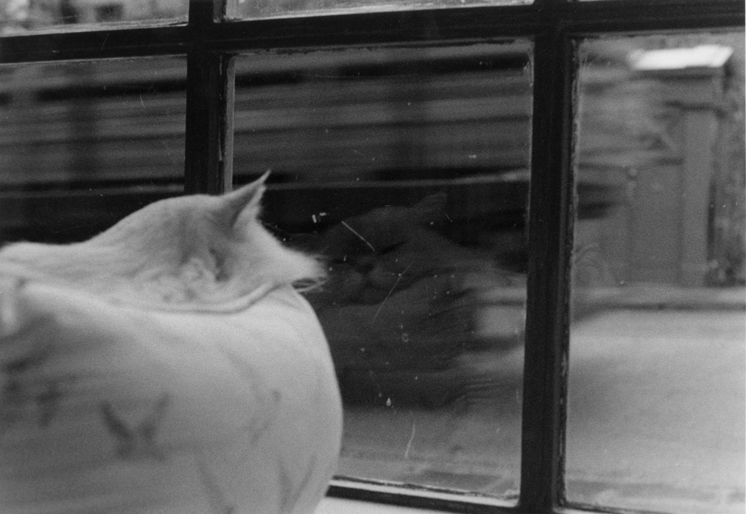 Juliette Watkins - What_s the Rush_.jpeg