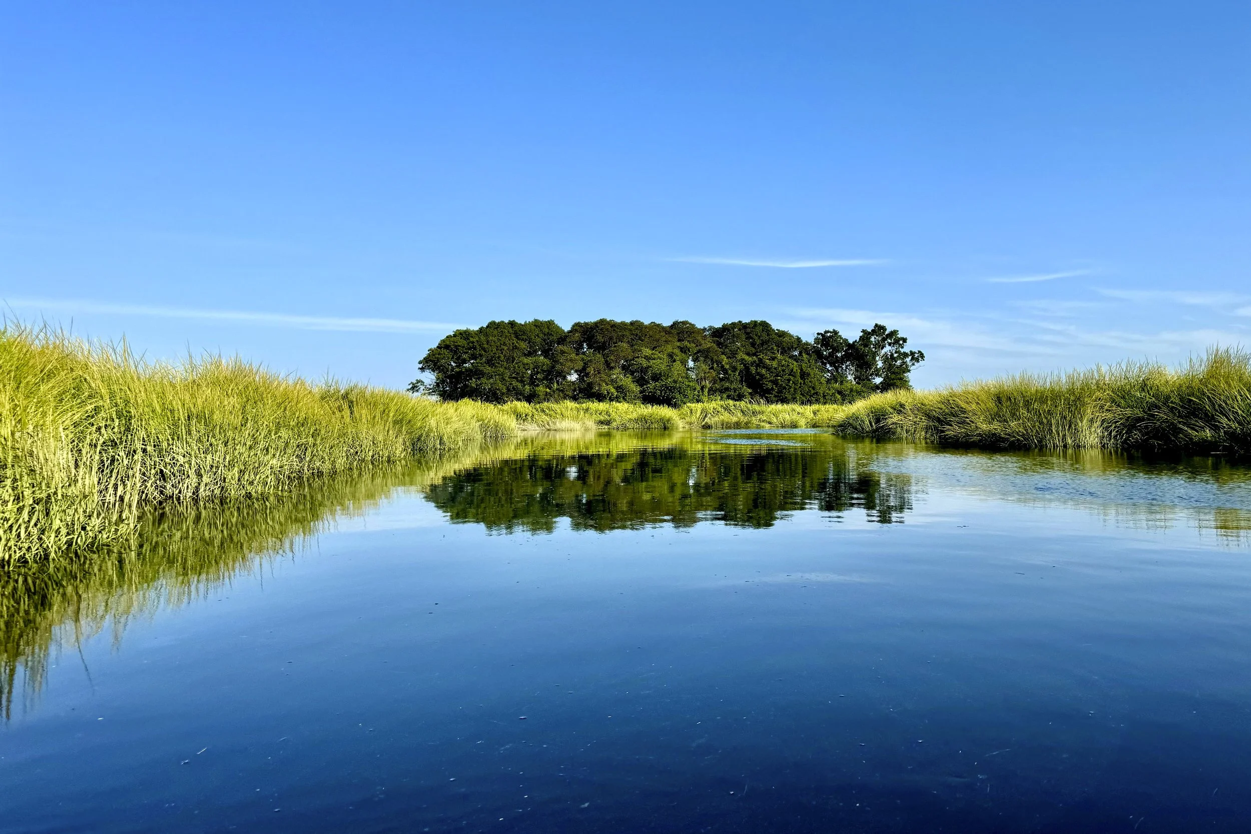 Karen Futral - Kayaking in the Marsh.JPG