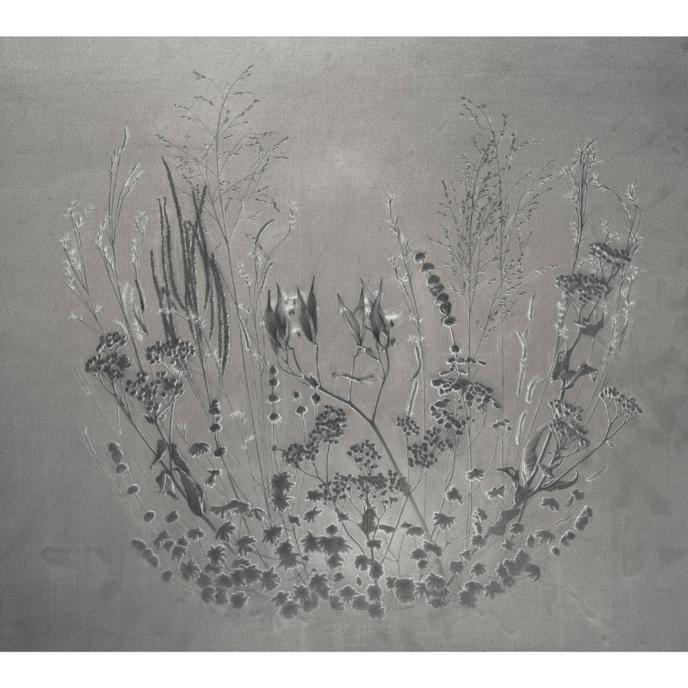Field Notes Artist Field Notes: Art + Science — NewburyportArt.org