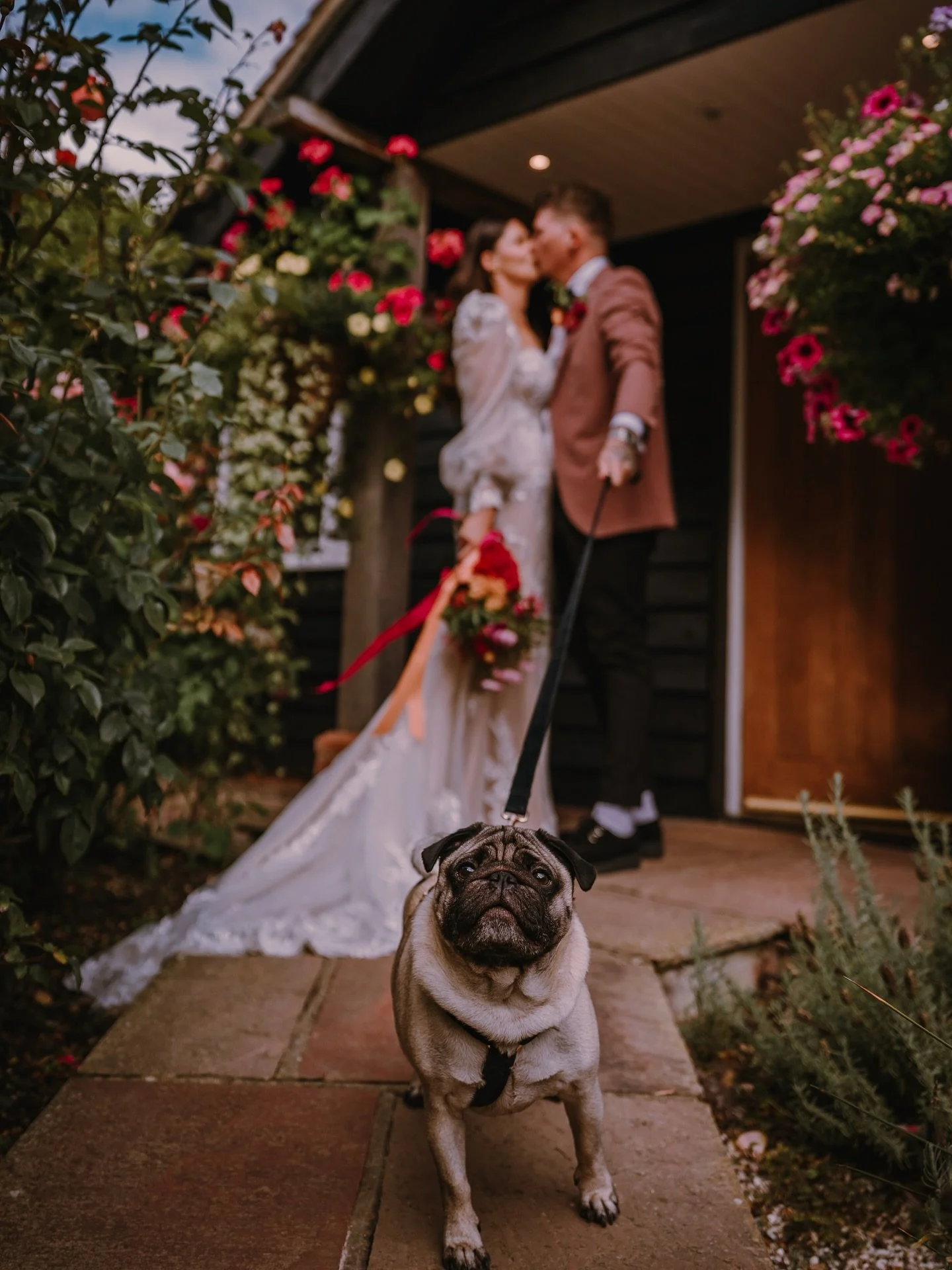 A moment for Ralph please 🐶 swipe to the end for a super big yawn 😆