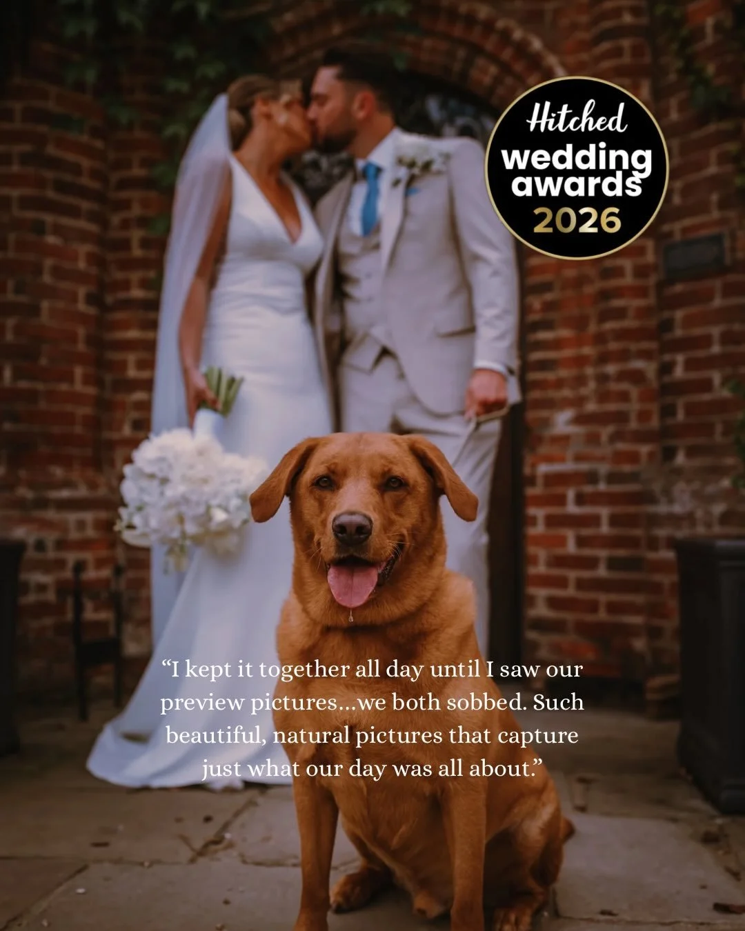 After a truly incredible 2025 wedding season, to win the Hitched Wedding Awards for the 5th year running is such a huge achievement for us! Thank you to all of the amazing couples, suppliers, venues and doggos which have made it all possible!

Oh, an
