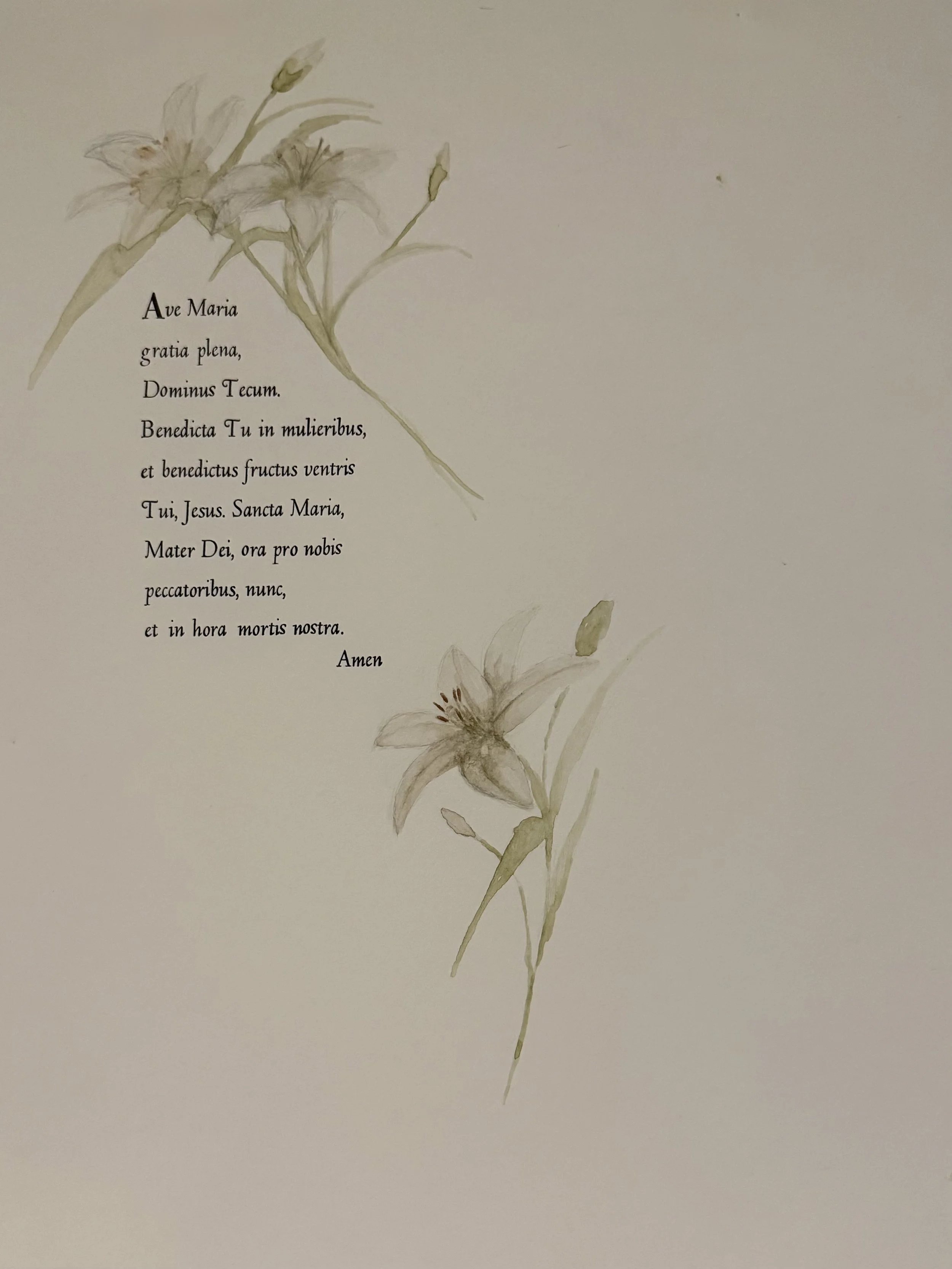 IMG_3266.jpeg