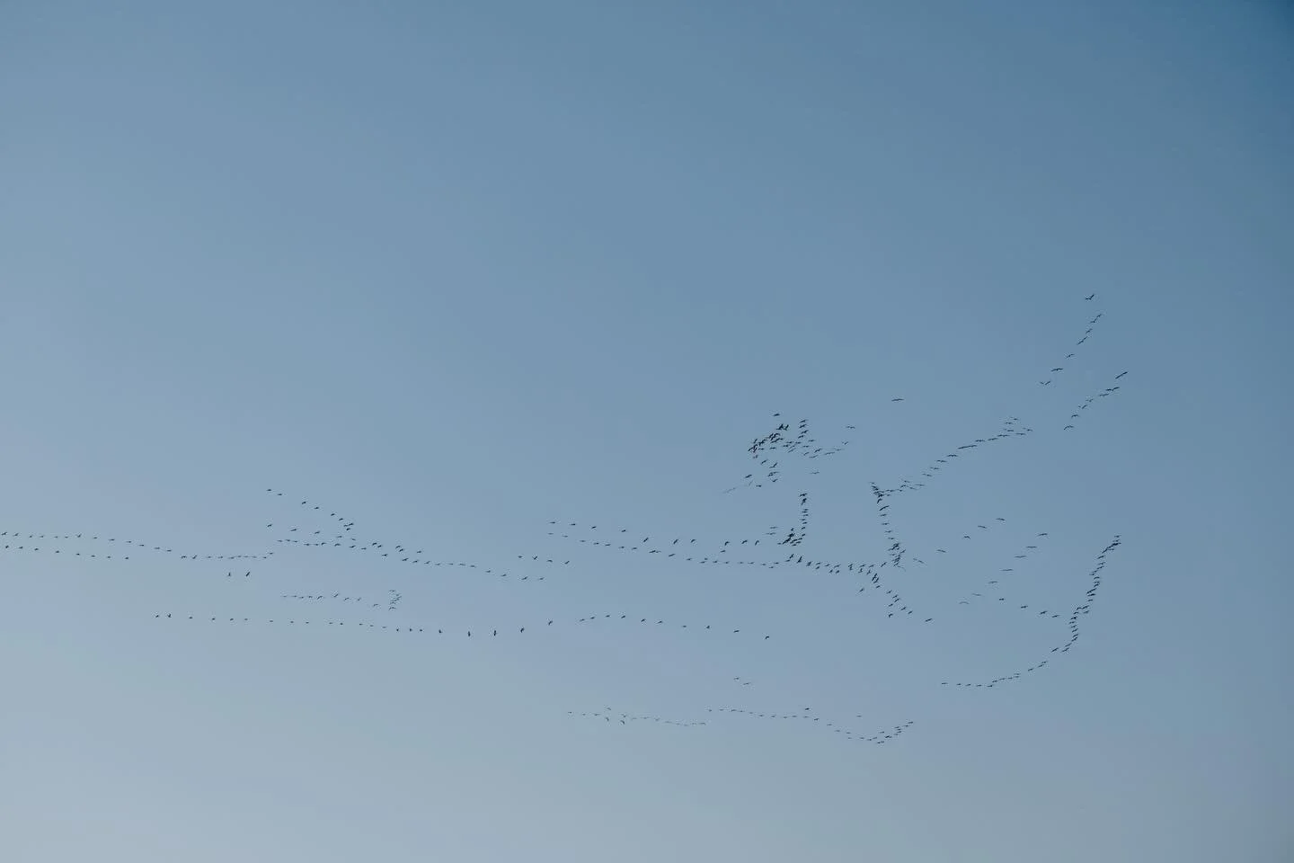 Recent sky photo, enjoy✨