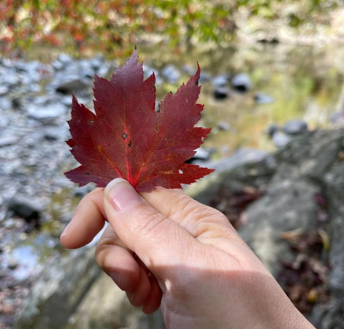 A New Season