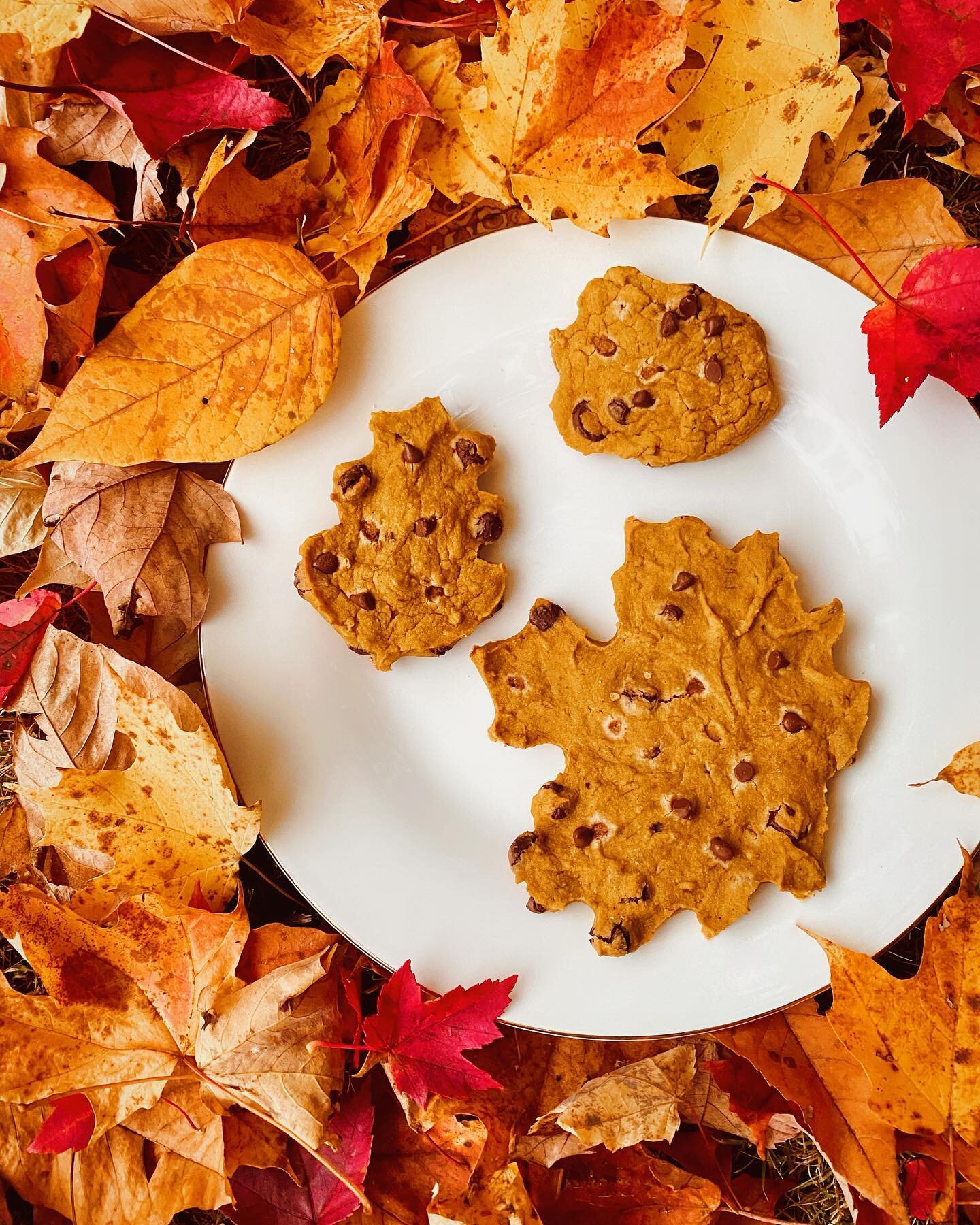 Pumpkin season is here and I promise you won&rsquo;t want to miss out on making these delicious, super fluffy Pumpkin Muffies (cookie muffins) 🍂🍪

INGREDIENTS &mdash;
1 cup pumpkin pure&eacute;
1 mashed ripe banana
1.5 cups oat flour
1/2 cup coconu
