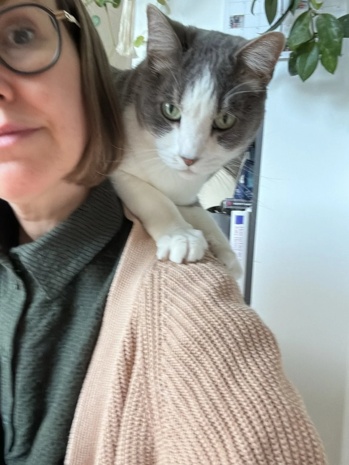 Hugo called me out for not posting bad selfies yesterday so here are days 15 and 14, in that order.

Today: the #mmellsworth, a surpise favorite. In a wool blend fabric, also from @merchantandmills, that has been cozier than anticipated this past win