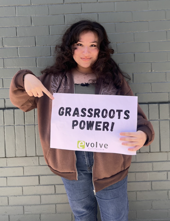 Environmental Injustice in Schools and Communities of Color