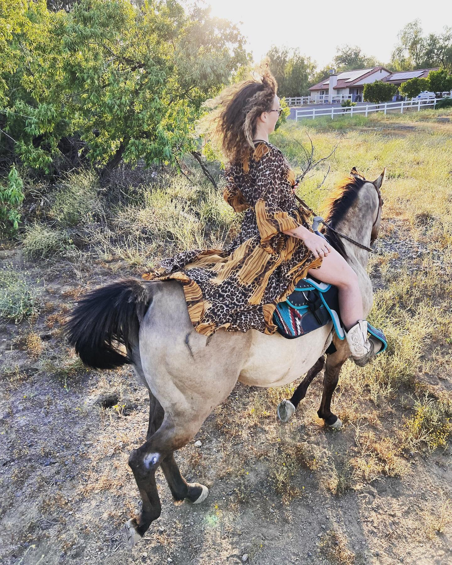 Horses are my favorite of all the animals: 3 reasons why....
1- they are majestic as eff 
2-they are powerful 
3-they are deeply loyal 

when it comes to reverse psychology the question "what is your favorite animal and three reasons why? Ultima