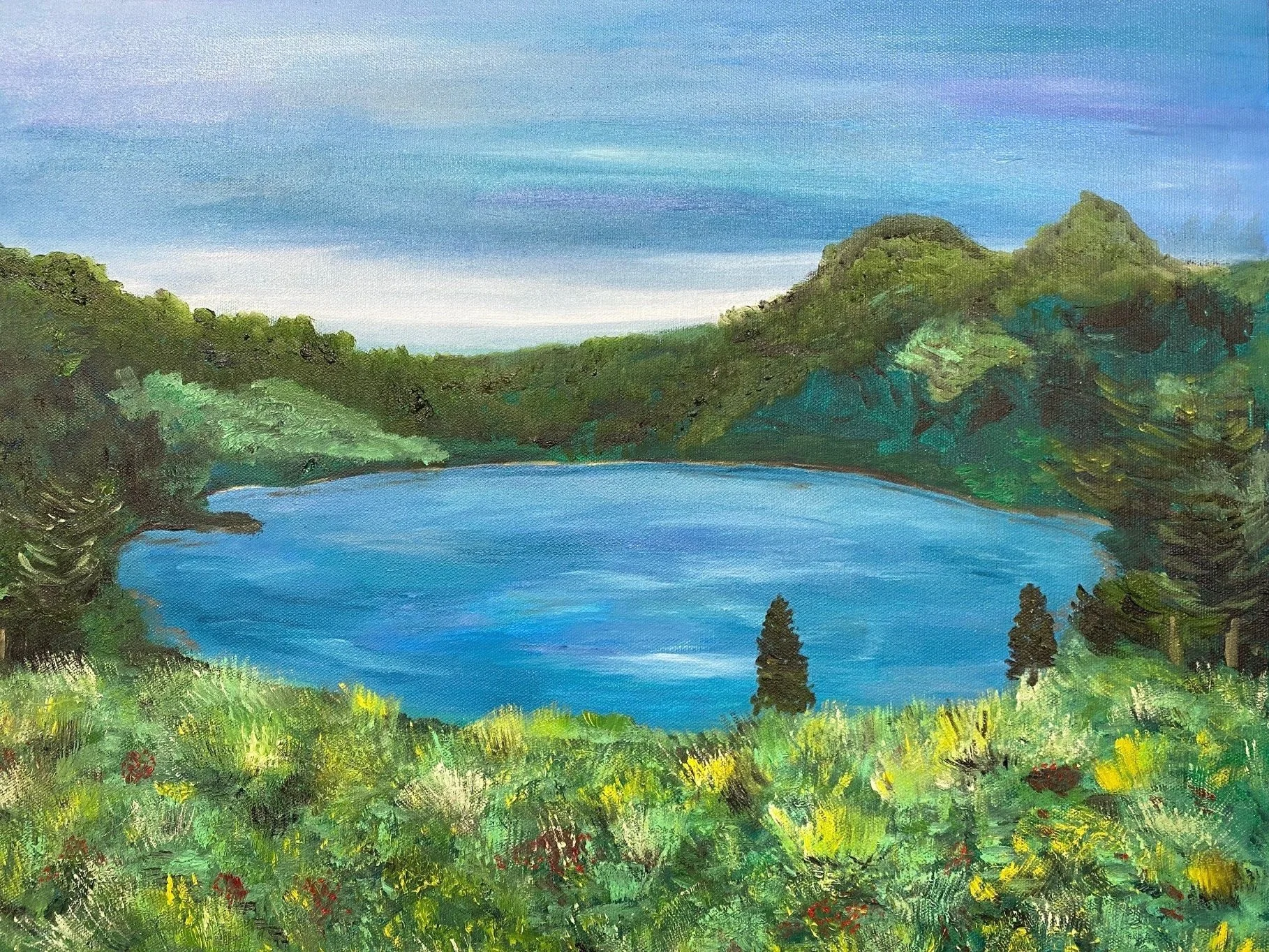 Acadia National Park
16'x 24' Oil on Canvas     $1,000