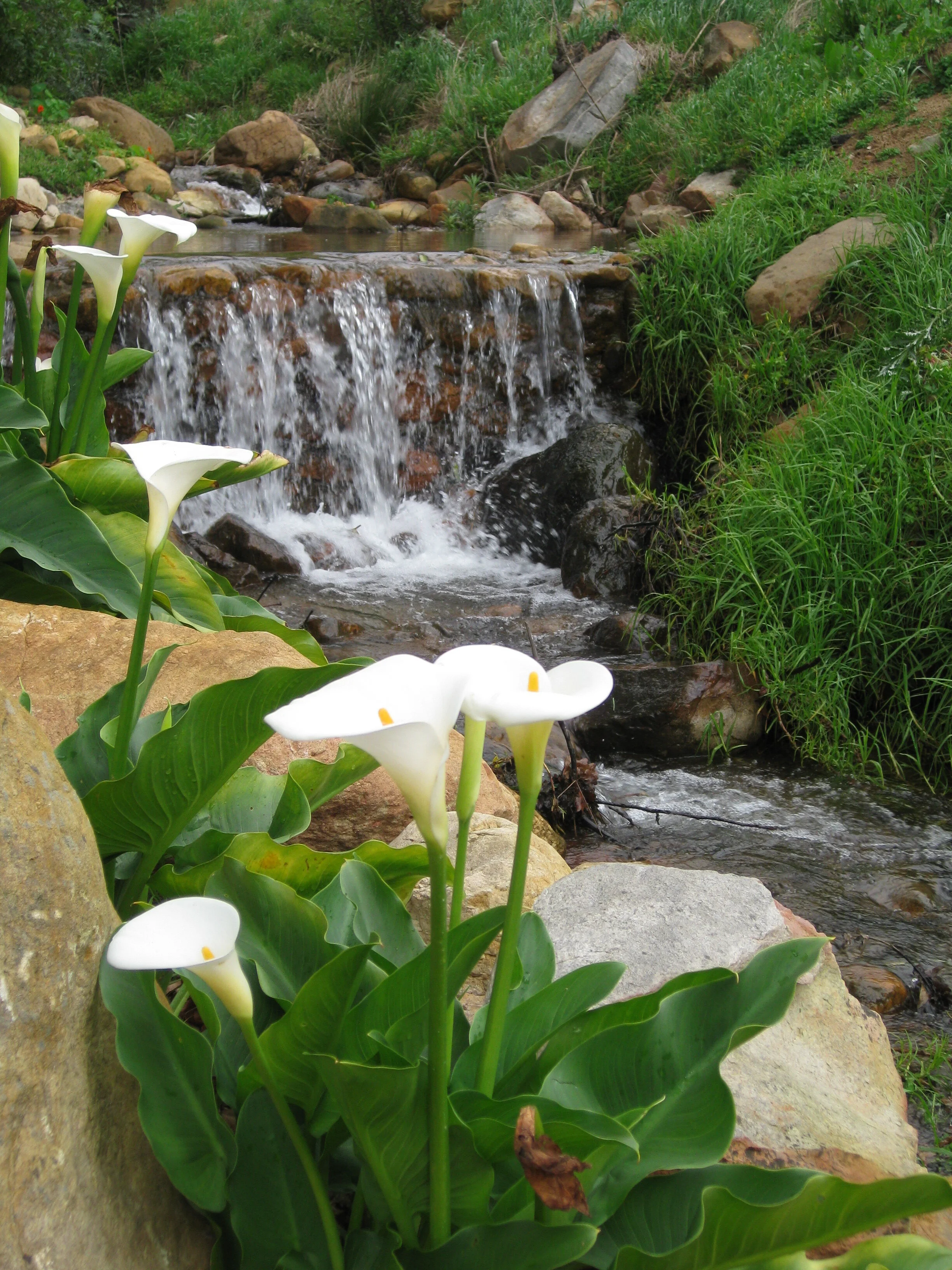 Franschhoek South Africa