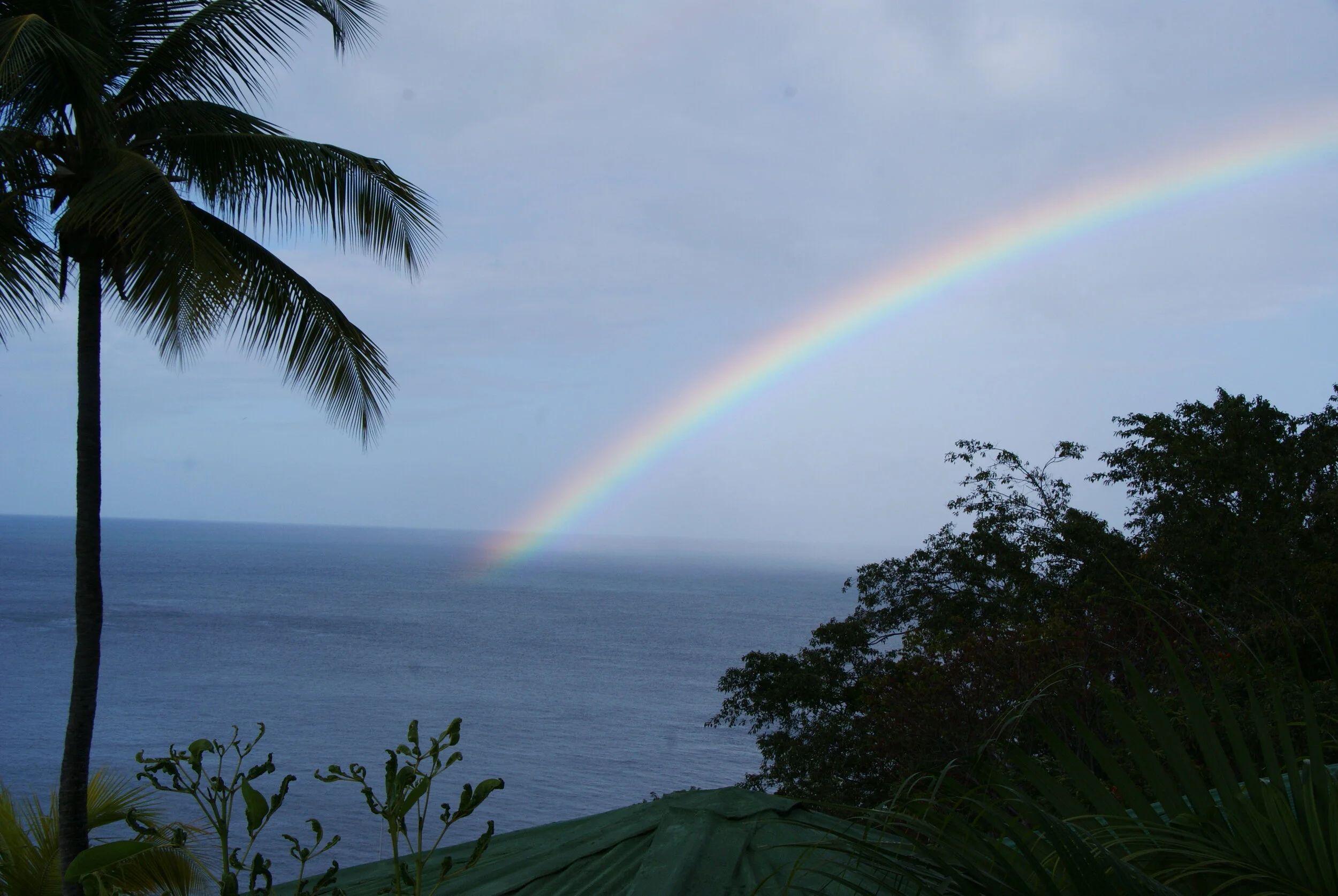 Anst Chastan Rainbow