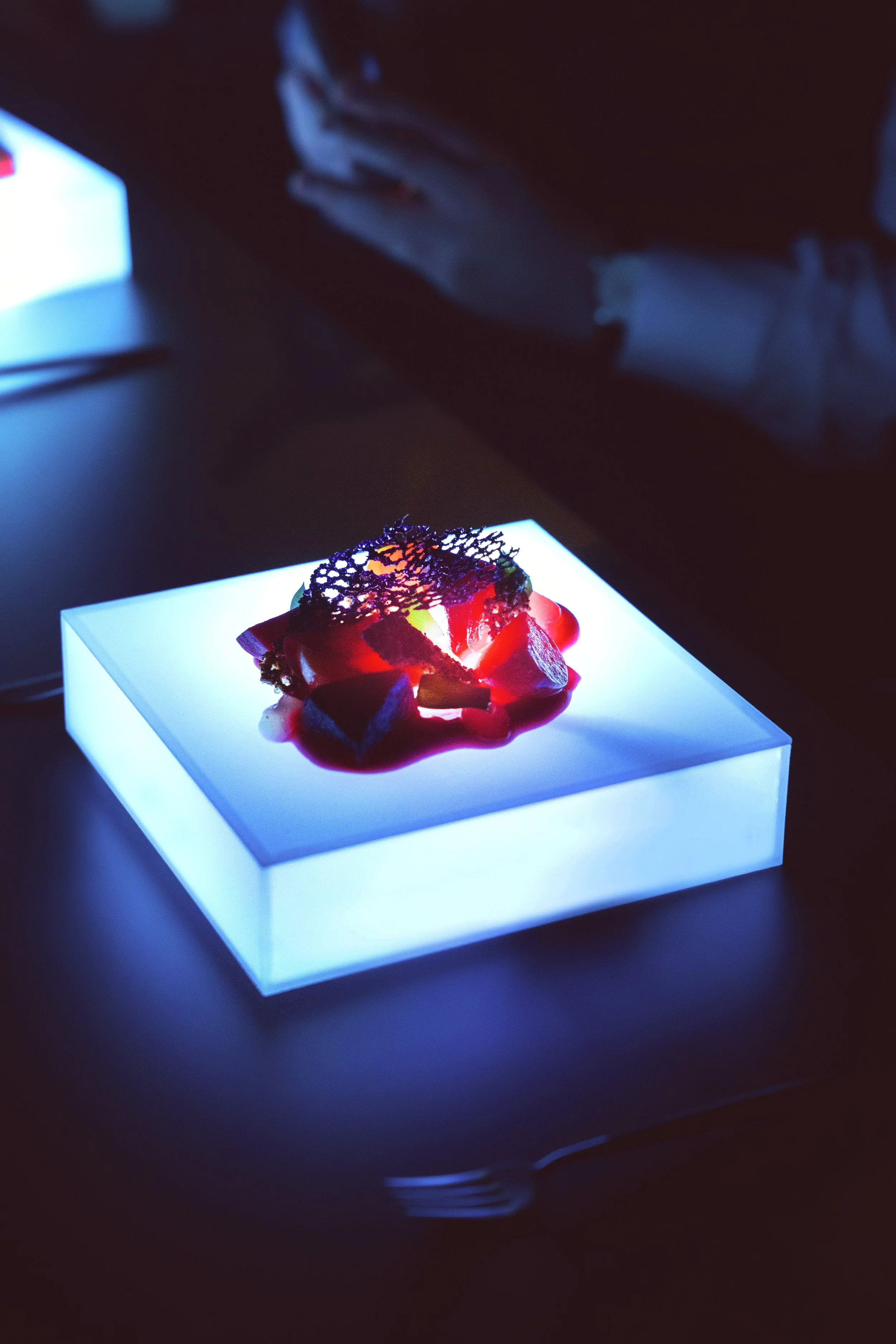 Electric Banquet F33 (1) (12).jpg