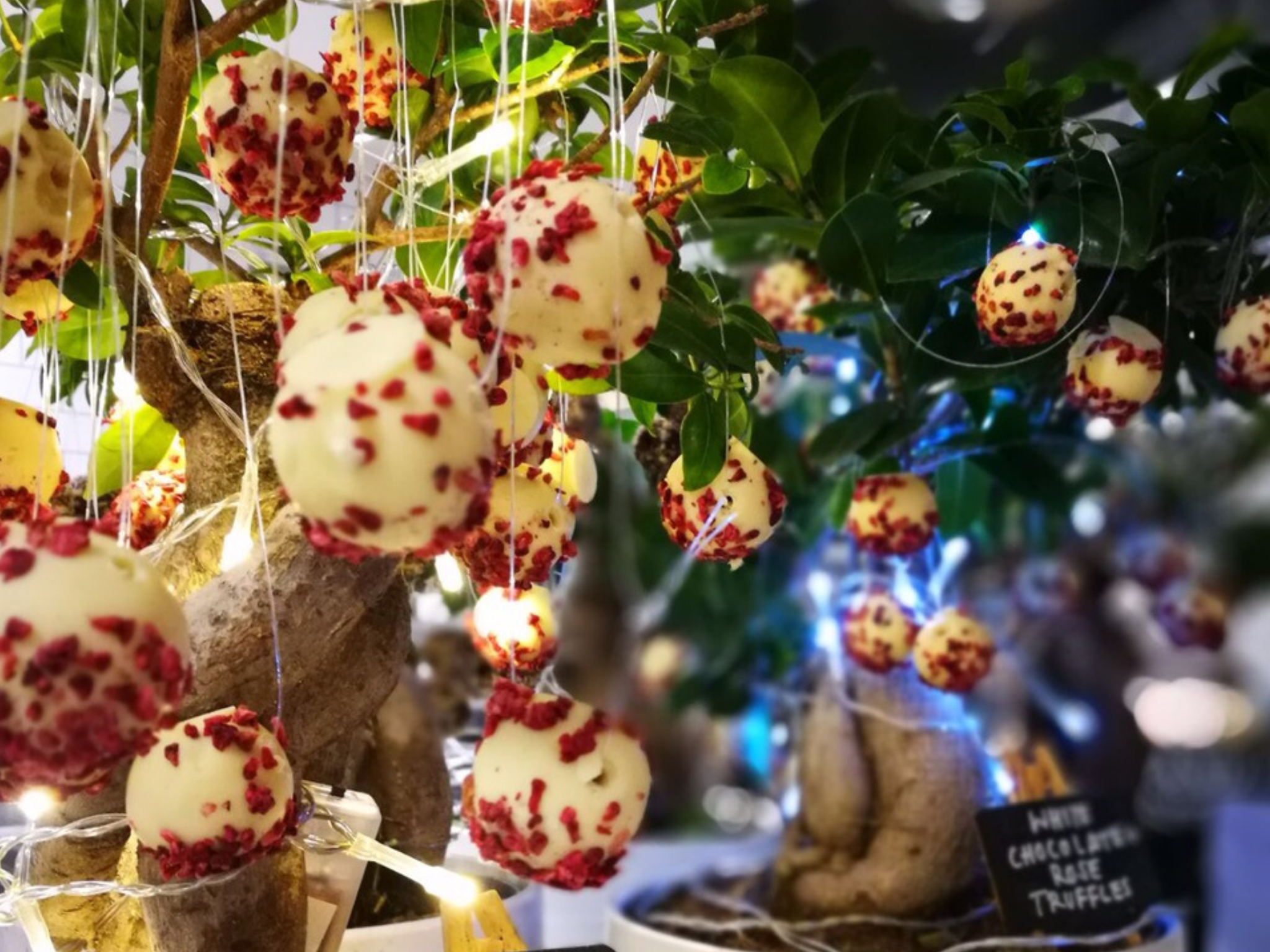 What We Are Seeing for Christmas 2026