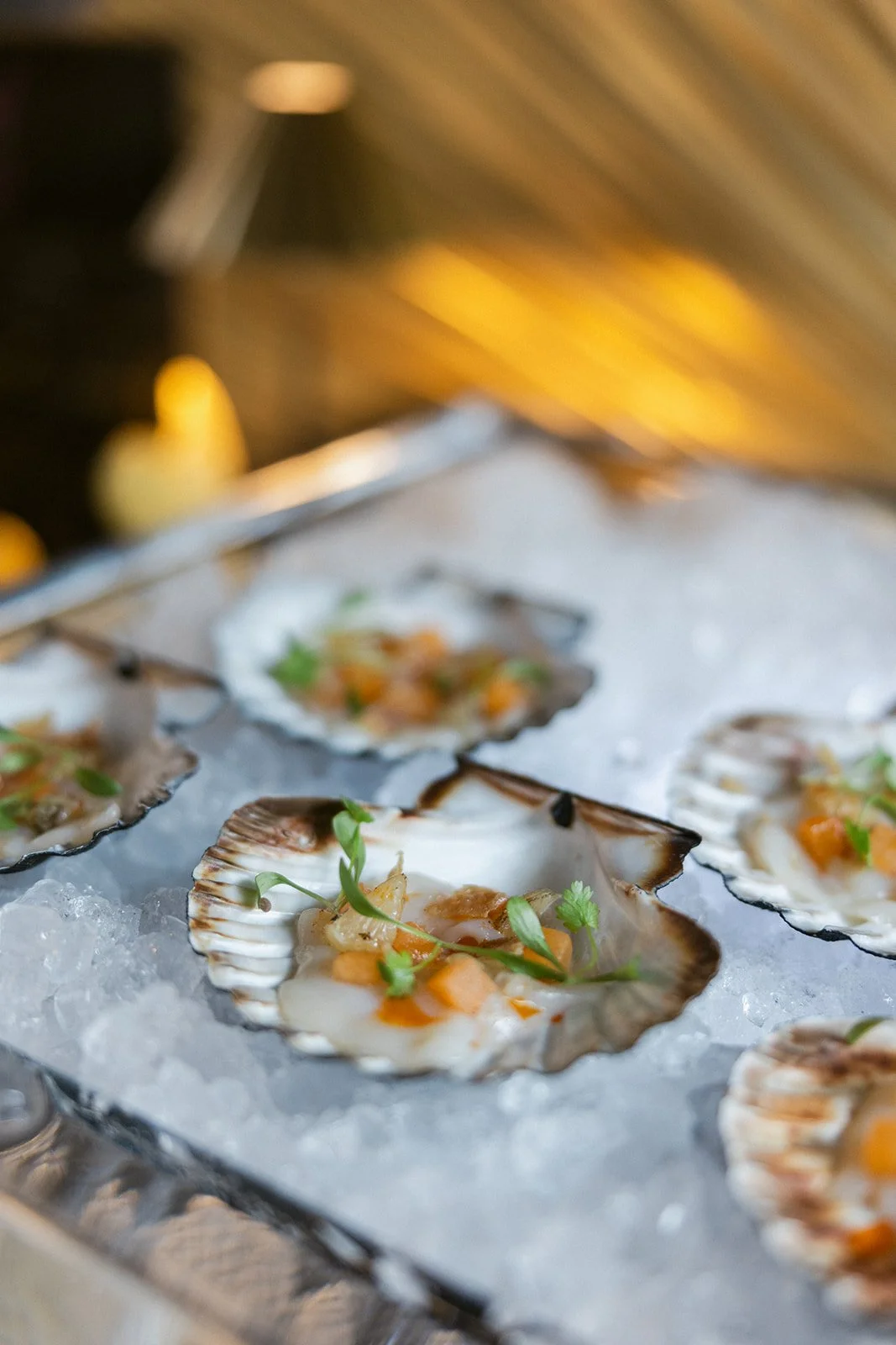 V&A_Summer_Soiree_Previews_Philippa_Sian_Photography-49.jpg