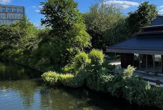 Camley Street Natural Park Jimmy Garcia Catering