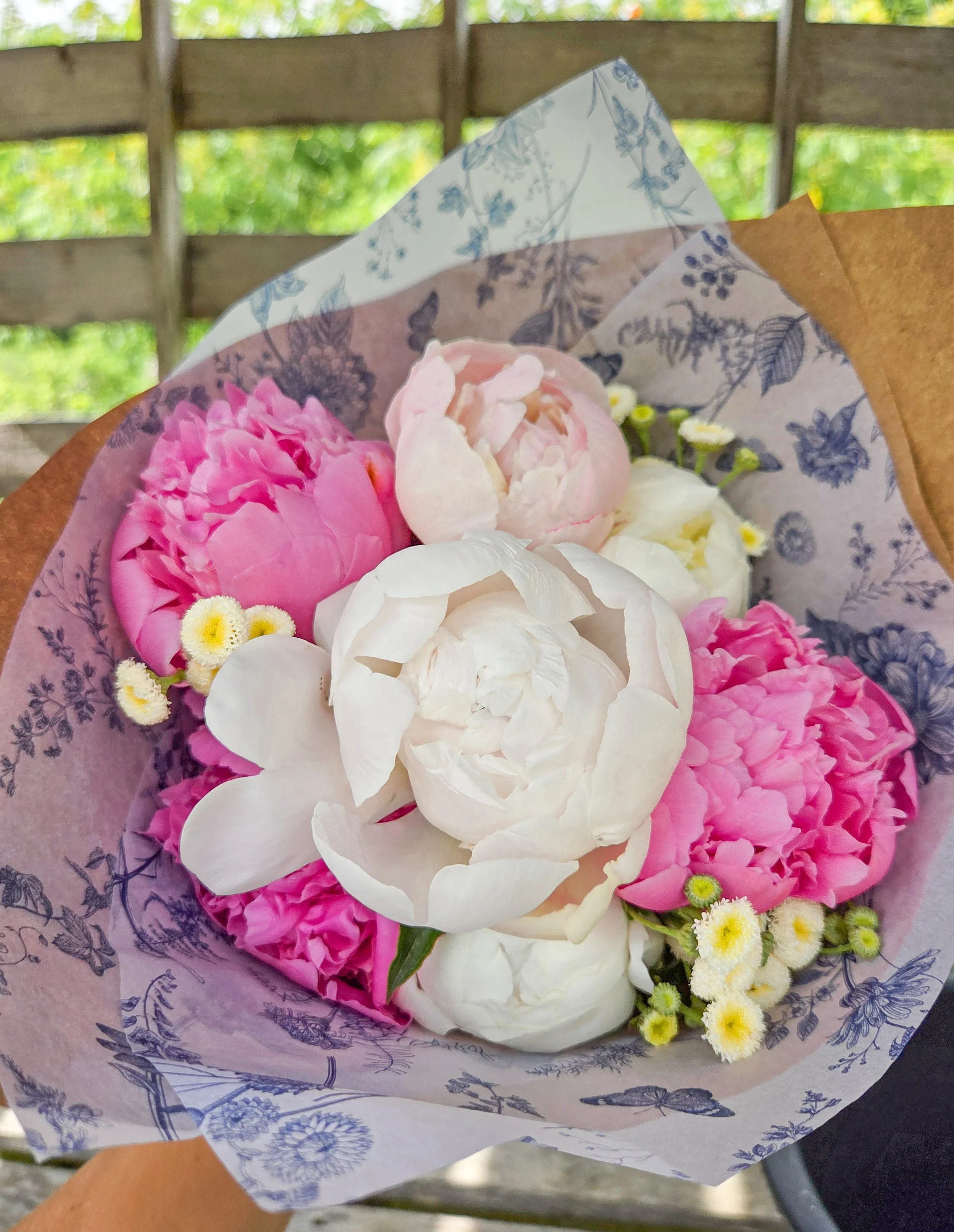 Peony Bouquet Subscription- 12 Stem