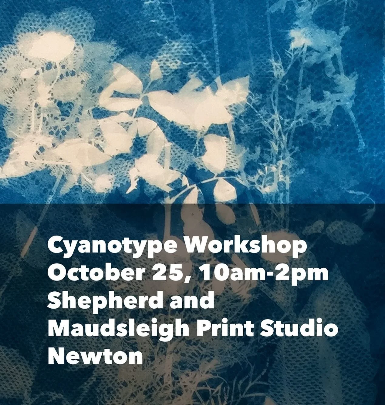 Join us at Shepherd and Maudsleigh Print Studio @shepherdmaudsleighstudio on October 25 for a hands-on Cyanotype Workshop with Liz Shepherd @lizshepherdartist 
Learn how to create your own striking blue cyanotype prints. Liz will guide participants