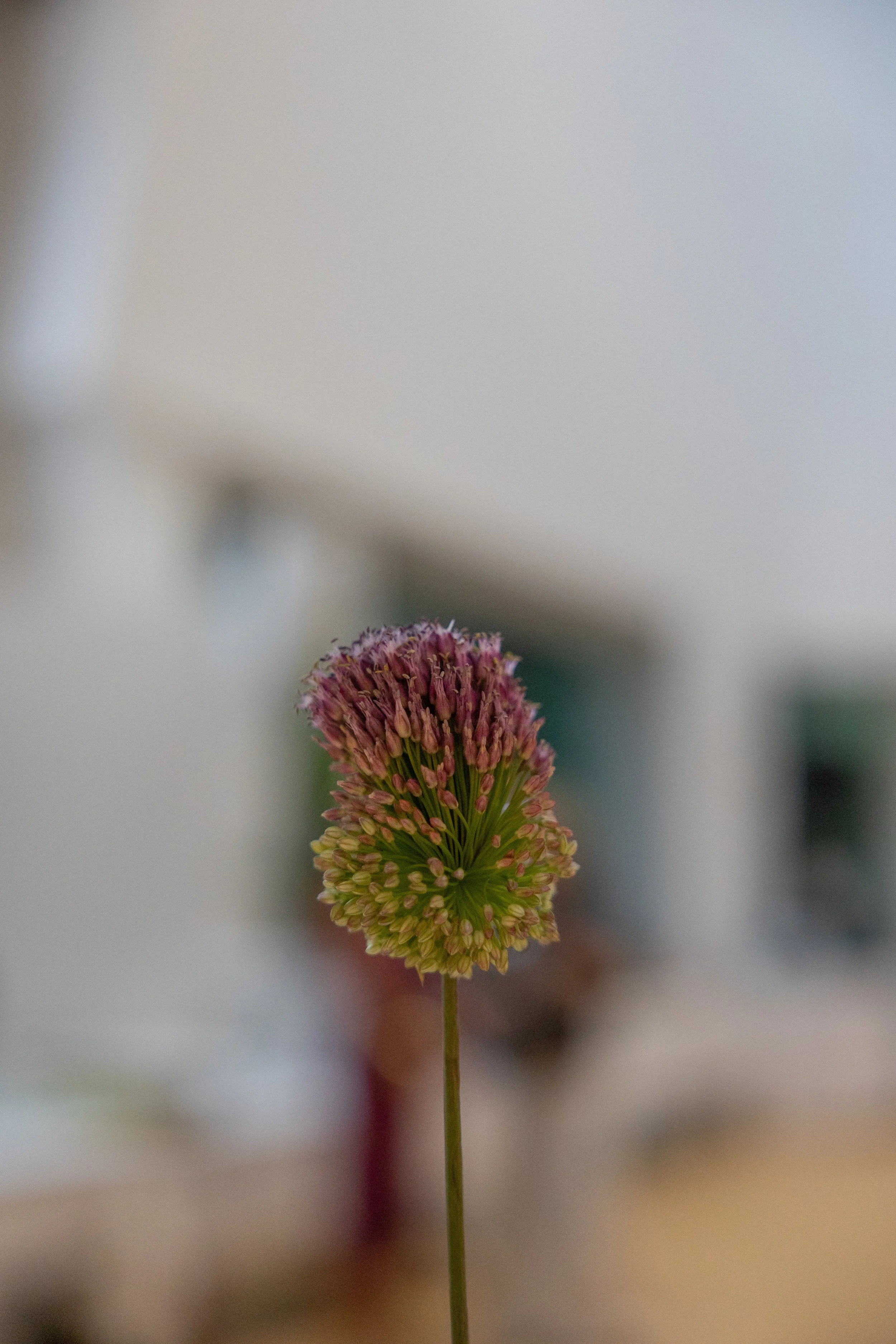 ArtW26-10.jpg