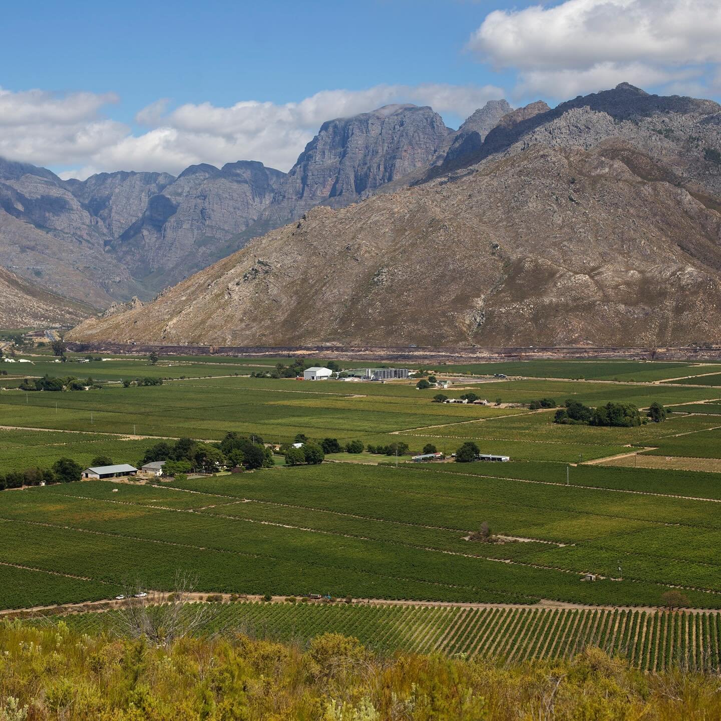 Entering our valley from the south-west, our Chenin Blanc route begins at Breedekloof Maker, Du Toitskloof Wines. The winery is well-known as one of the largest commercial Chenin Blanc producers in South African retail, but also boasts with their sma