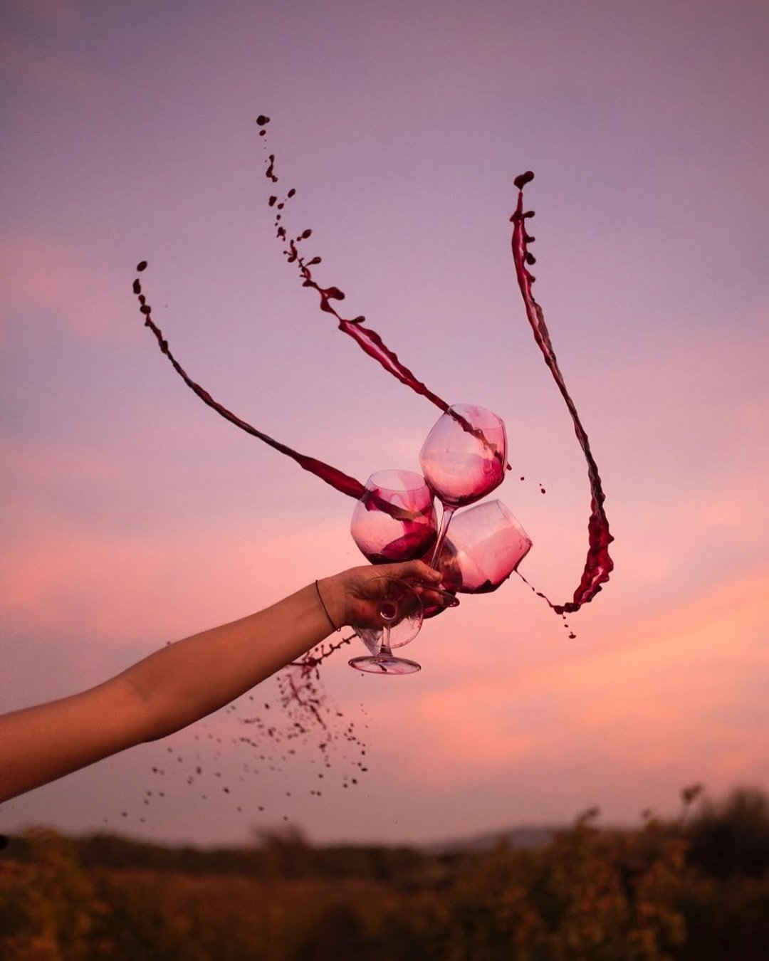 It&rsquo;s International Merlot Day and we&rsquo;d like to show you the 5 Merlots produced in the Breedekloof.

Botha Kelder &ldquo;Sjanter&rdquo; Merlot
Daschbosch Merlot
Du Toitskloof Merlot
Jason&rsquo;s Hill Merlot
Mountain Ridge &ldquo;The
