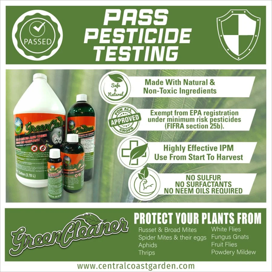 Green-Cleaner---store-banner.jpg