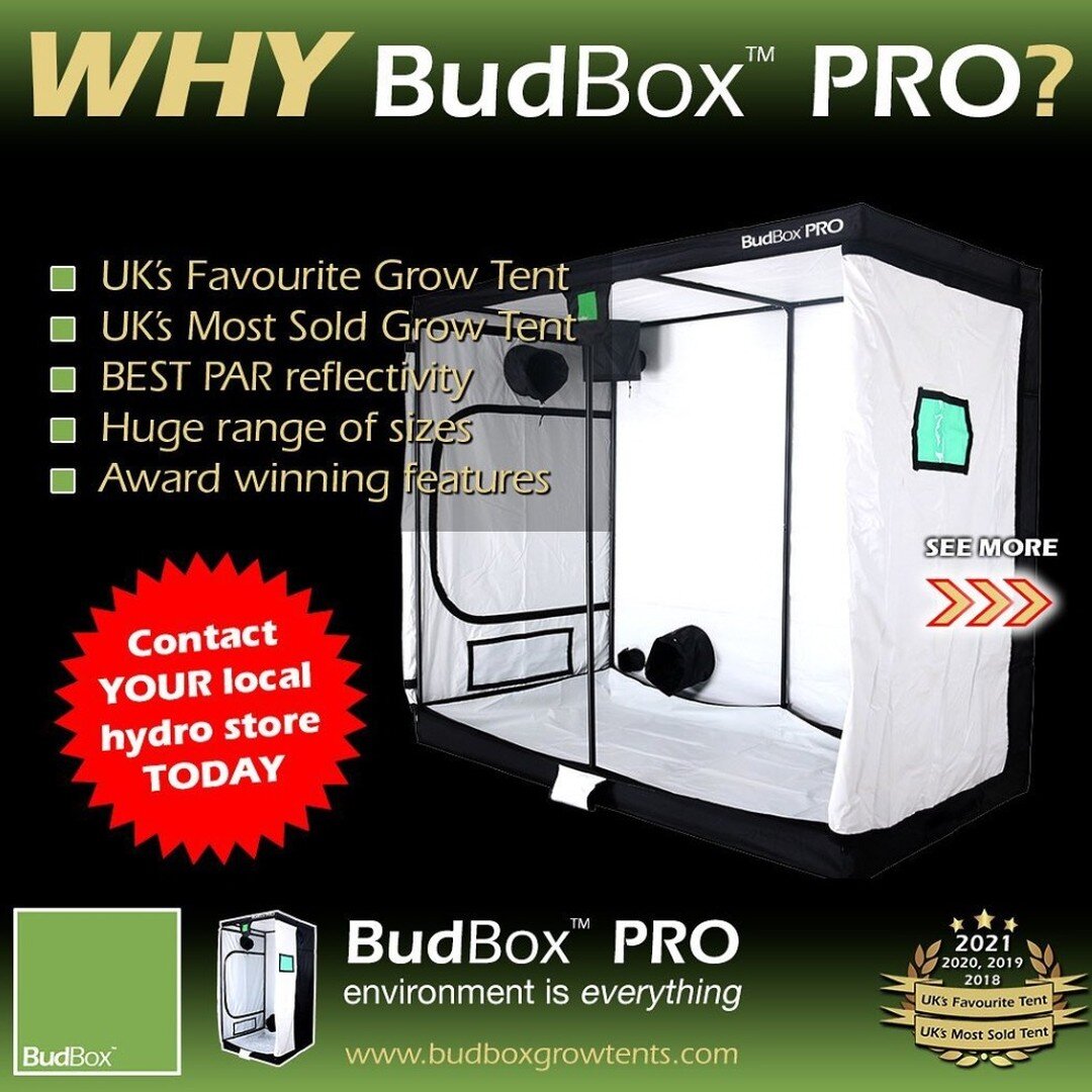 WHY BudBox PRO?

UK&rsquo;s Favourite Grow Tent
UK&rsquo;s Most Sold Grow Tent
BEST PAR reflectivity
Huge range of sizes
Award winning features

Super strong frames - up to 200kg!
All metal poles and connectors
Push/click locking
Powder coated
Hangin