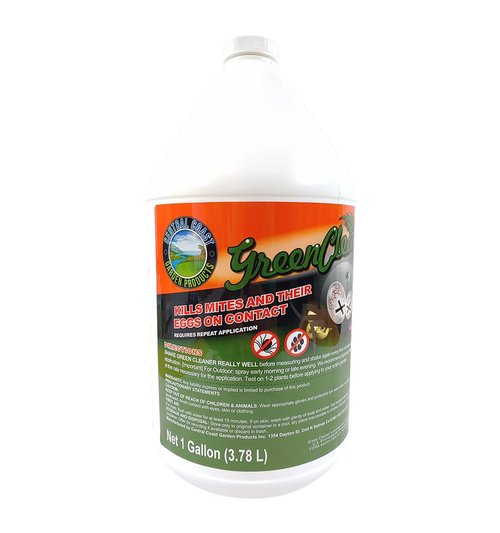 Green Cleaner 1 gallon container
