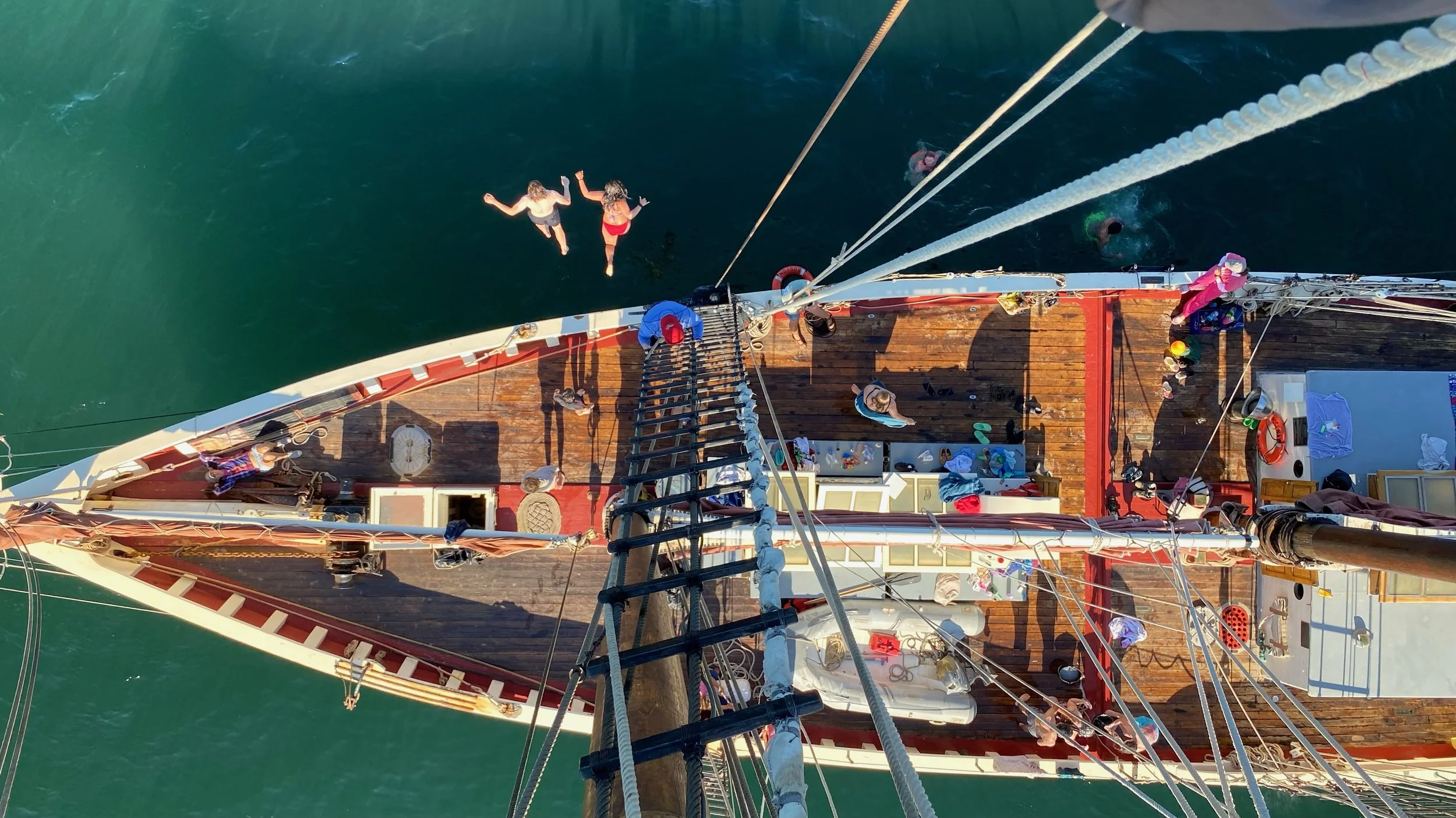 FullSizeRender-preview 2.JPG