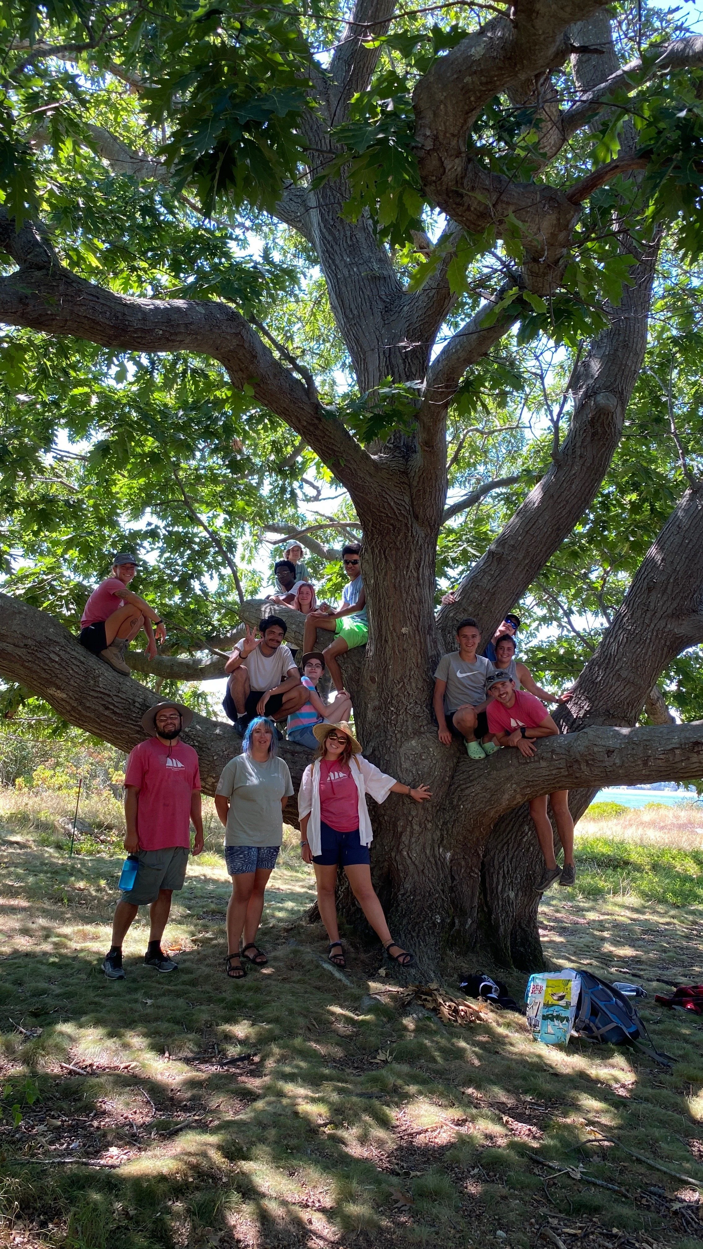 FullSizeRender-preview 3.JPG