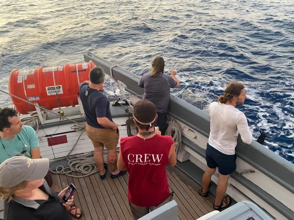 Resized_IMG-20221206-WA0000 (1).JPEG