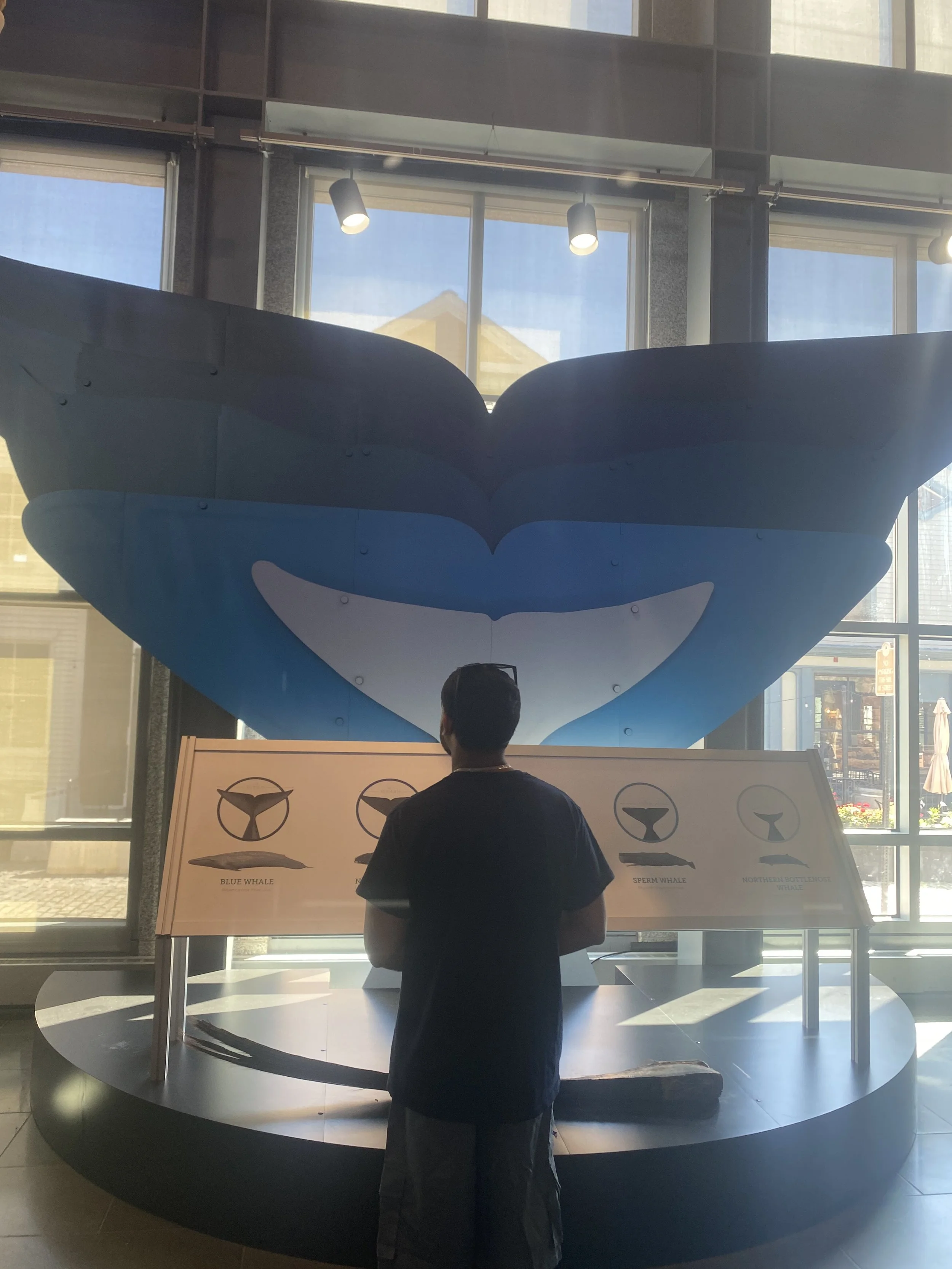 Advanced Summer Ambassador Program (Day 6)