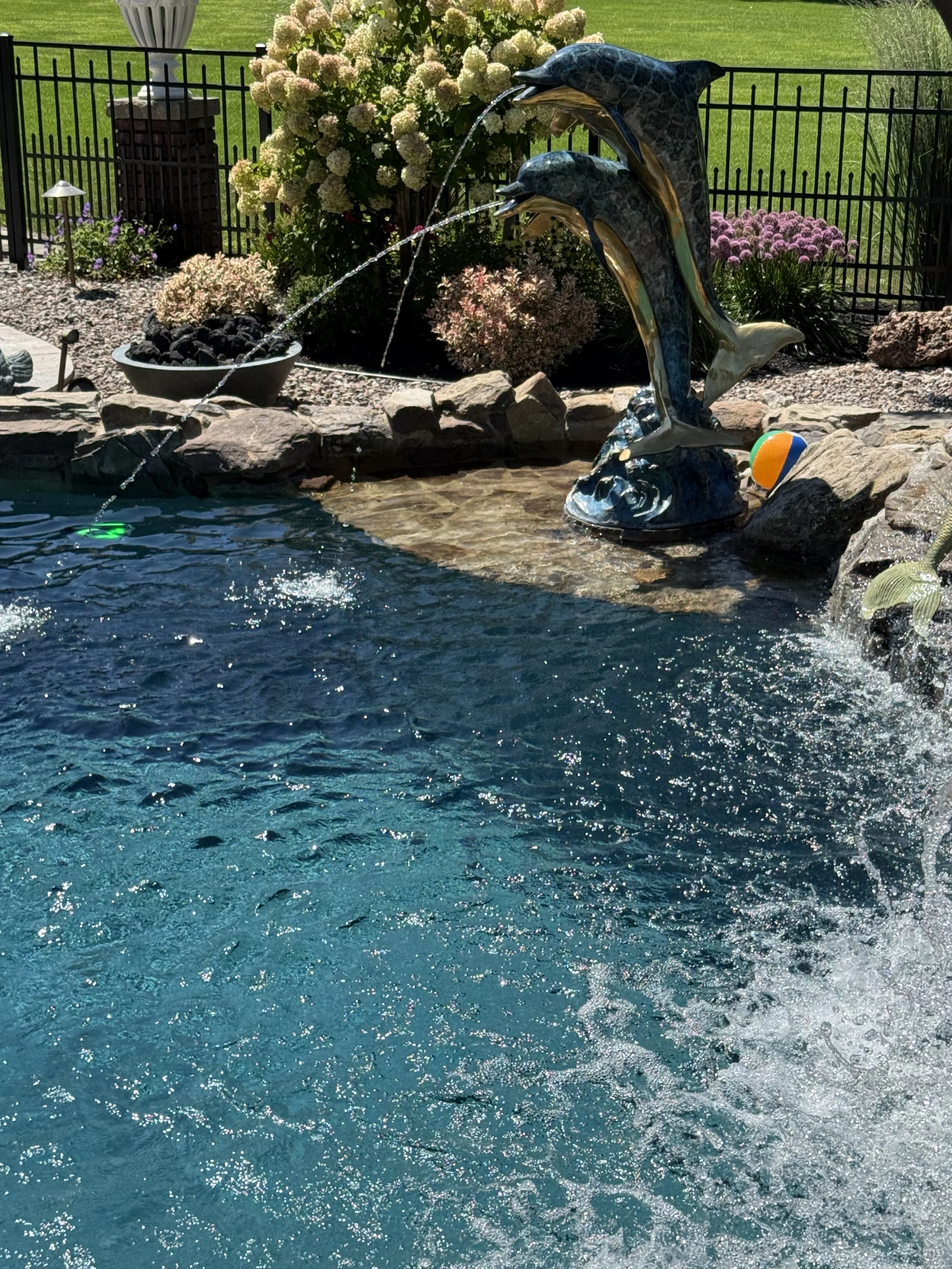 dolphins.jpg
