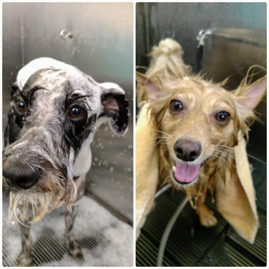 little_ones_bath_time.jpg