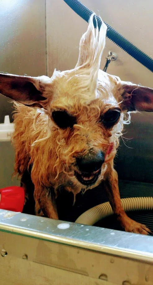 mowhawk_bath.jpg