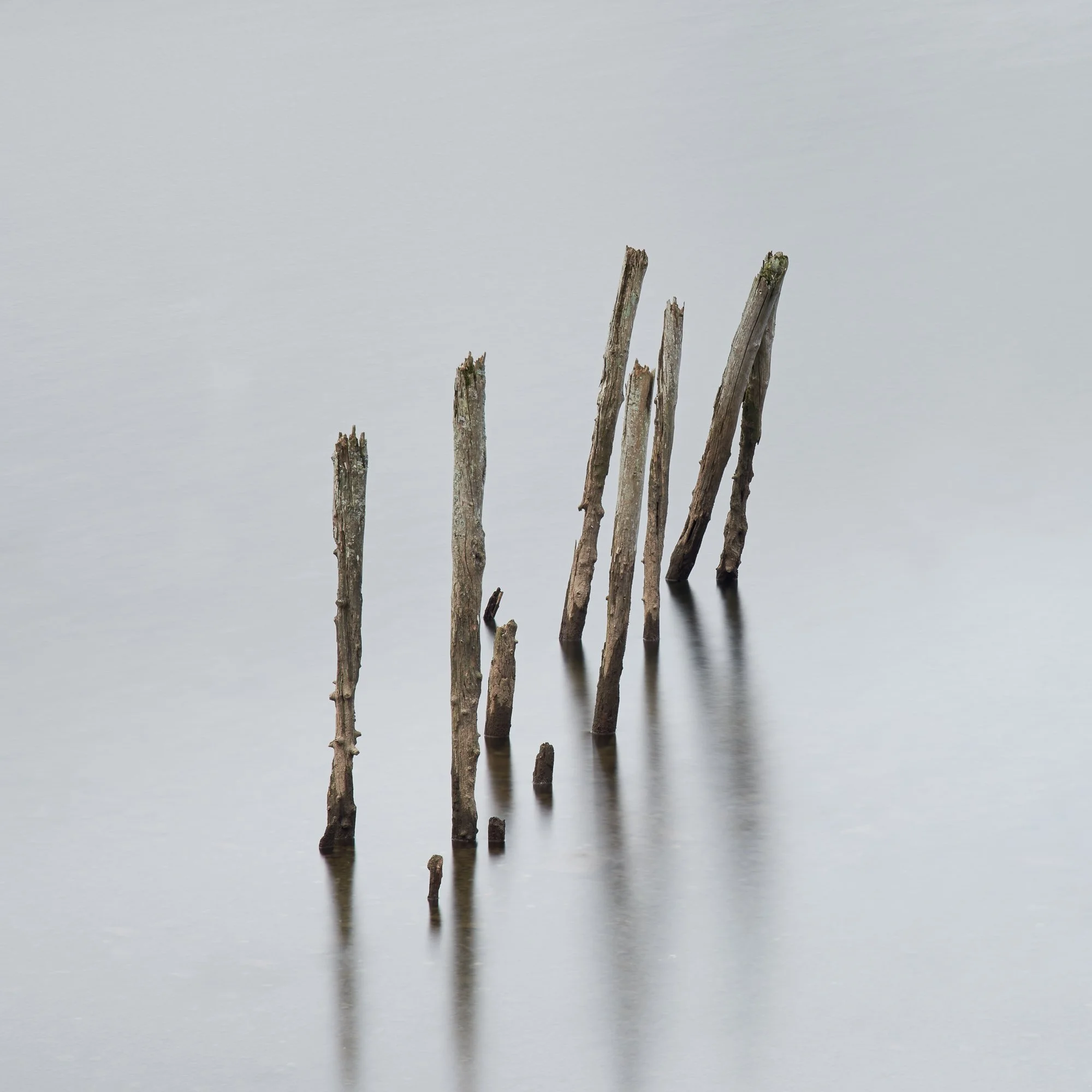 Arranging sticks.jpg
