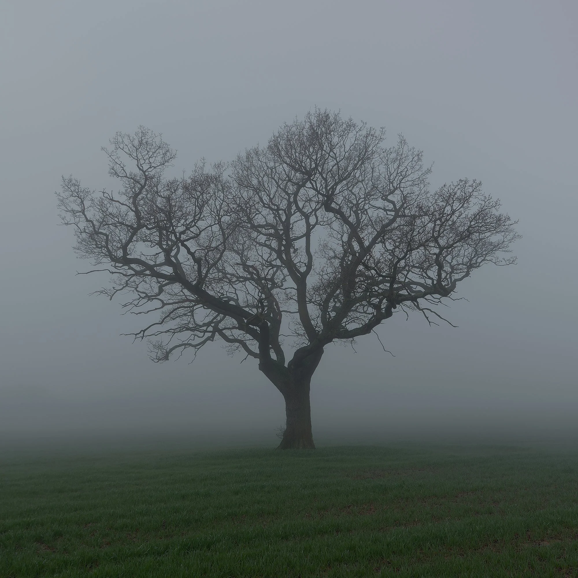 Blakenhall Oak XI.jpg